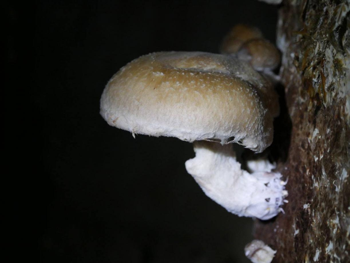 À la Carrière du Bienheureux