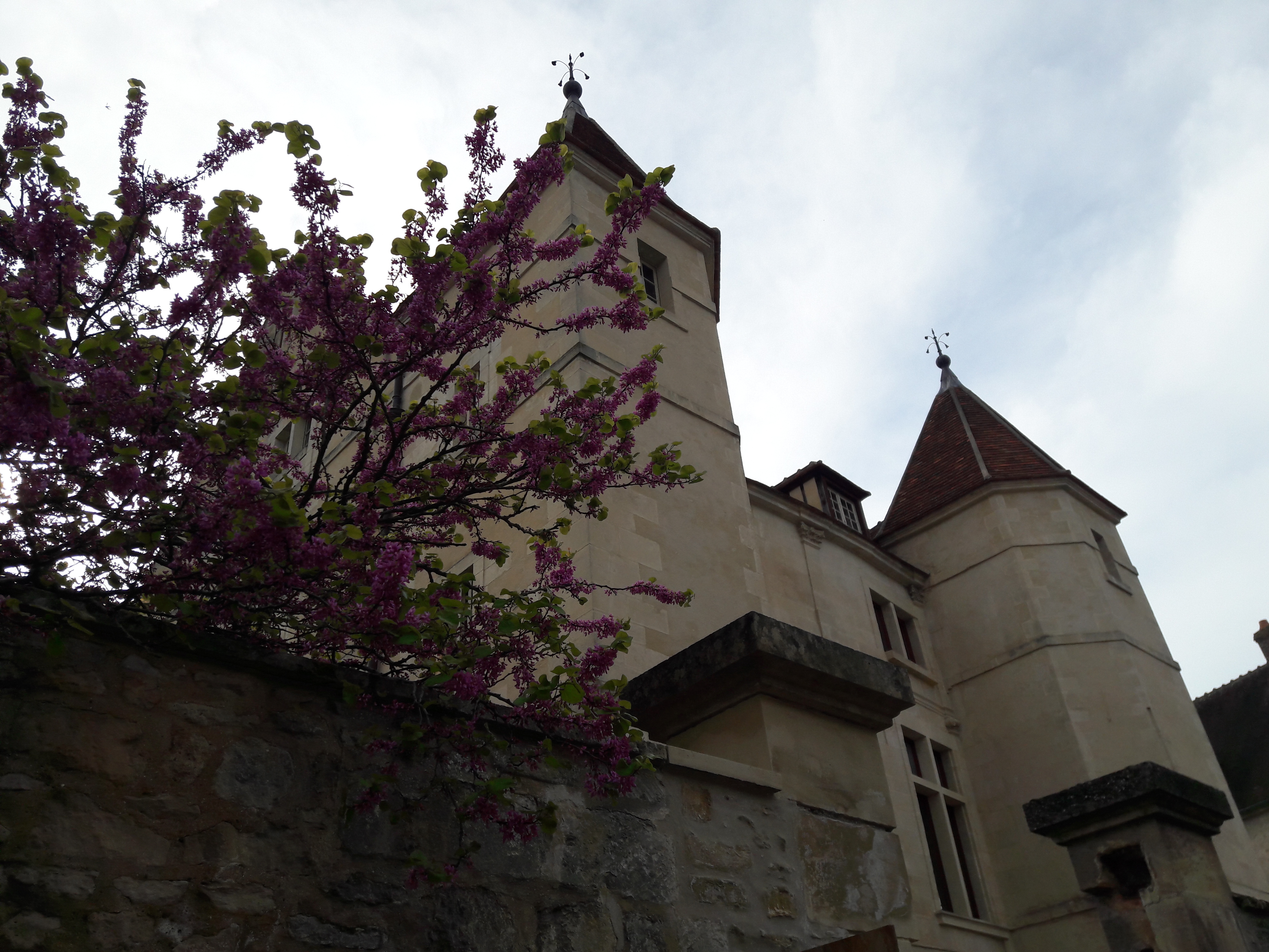 Les hôtels particuliers de Senlis, Senlis