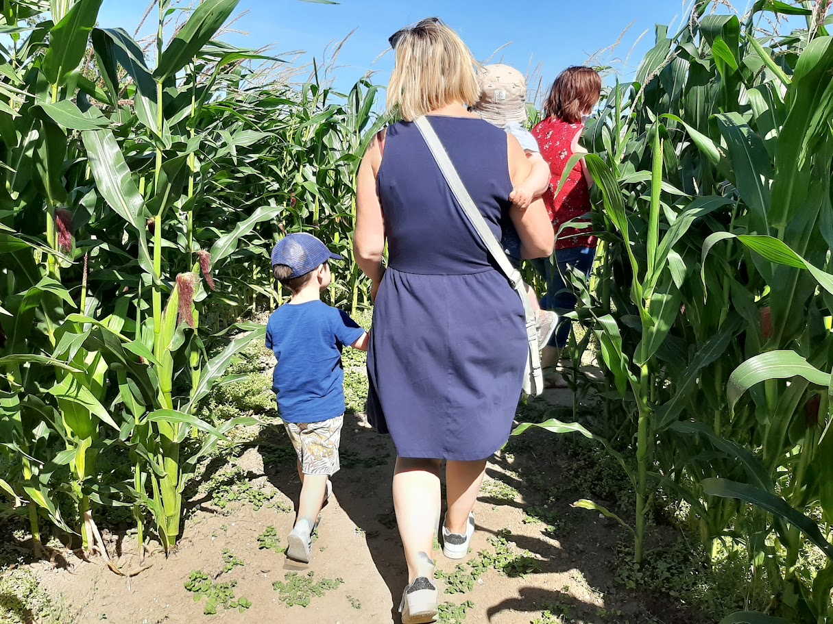 La petite ferme flamande, Rexpoëde - photo 3