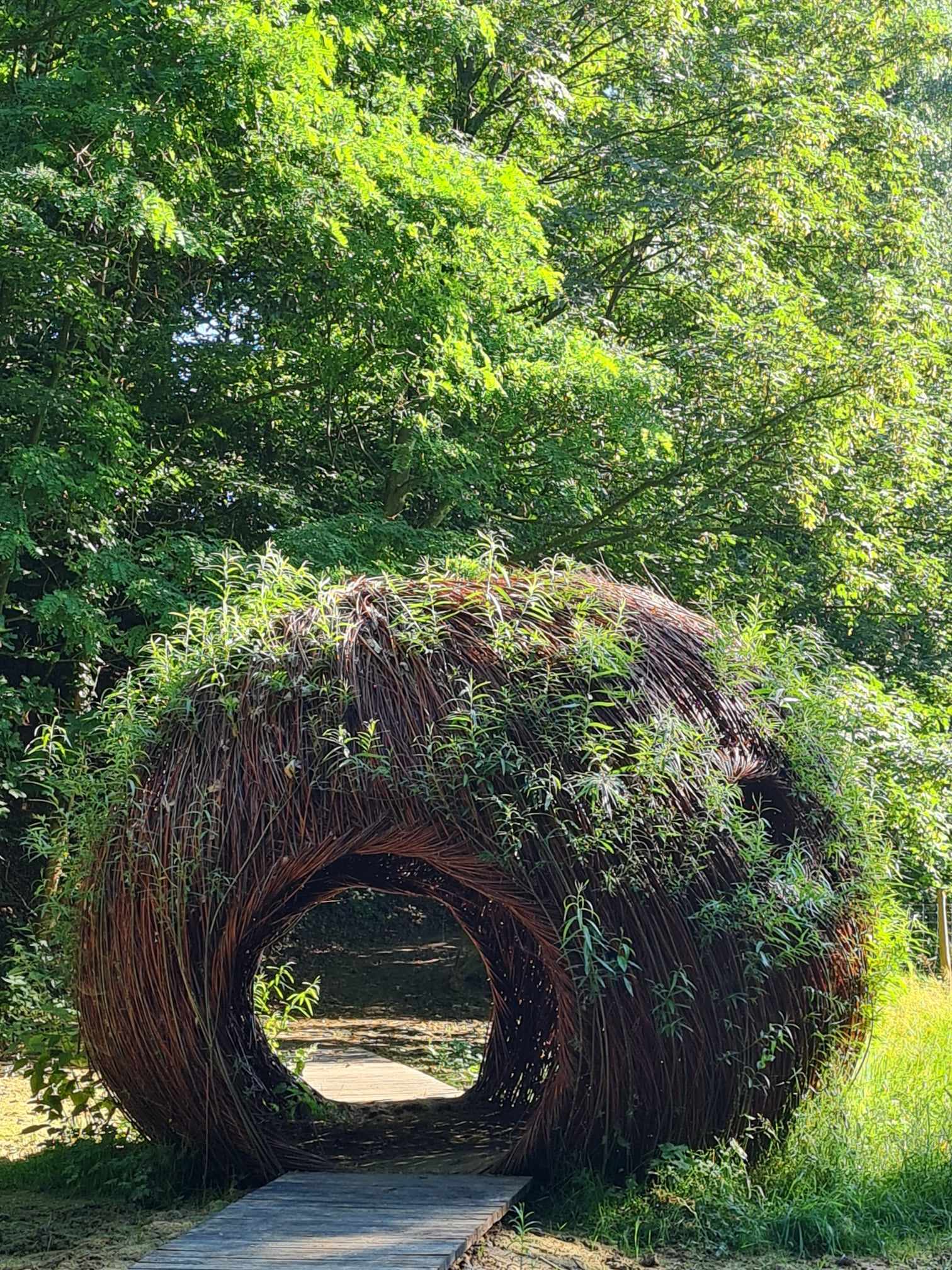 Aire ludique L'Observatoire caché, Godewaersvelde - photo 2