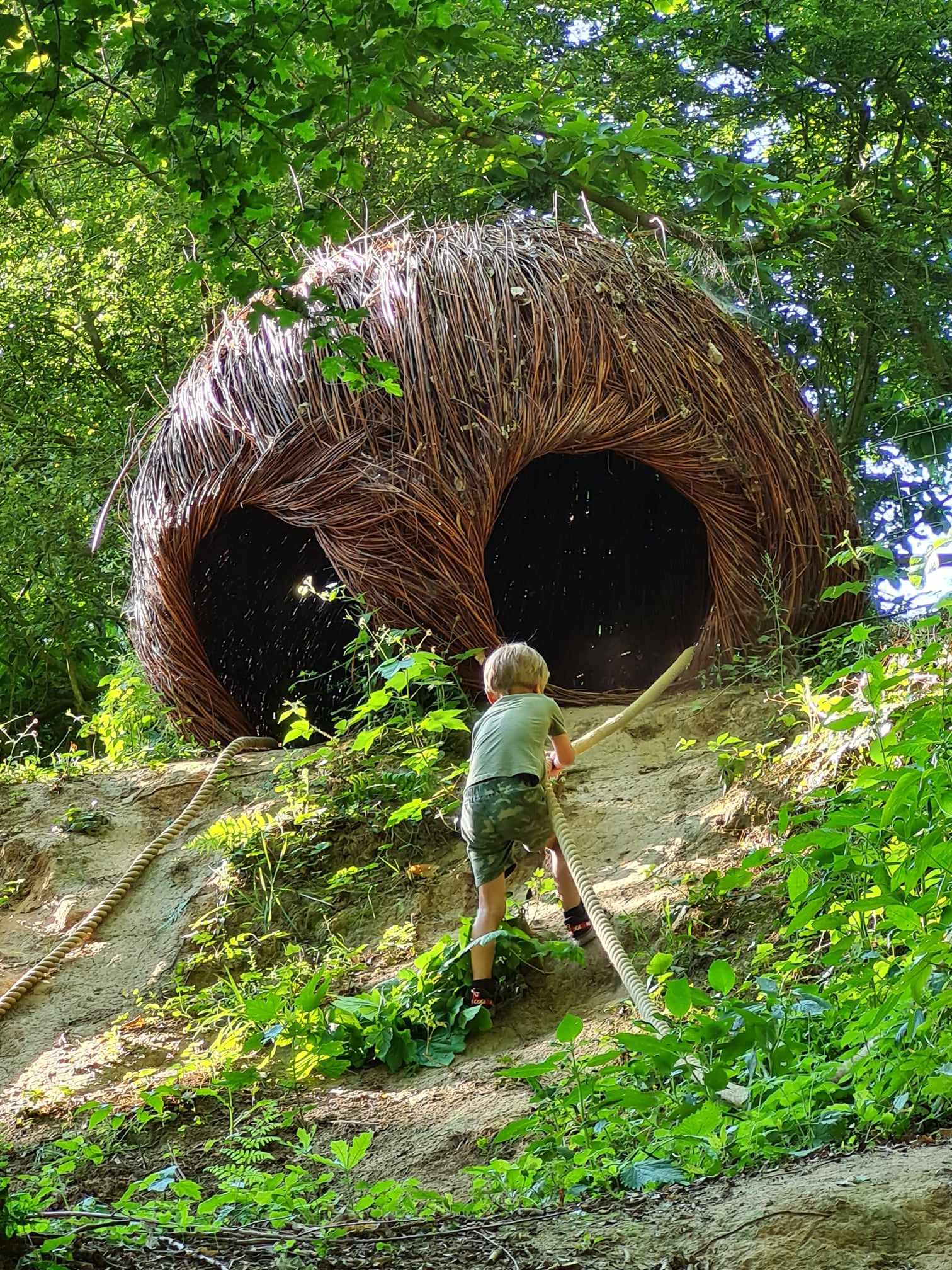Aire ludique L'Observatoire caché, Godewaersvelde - photo 4
