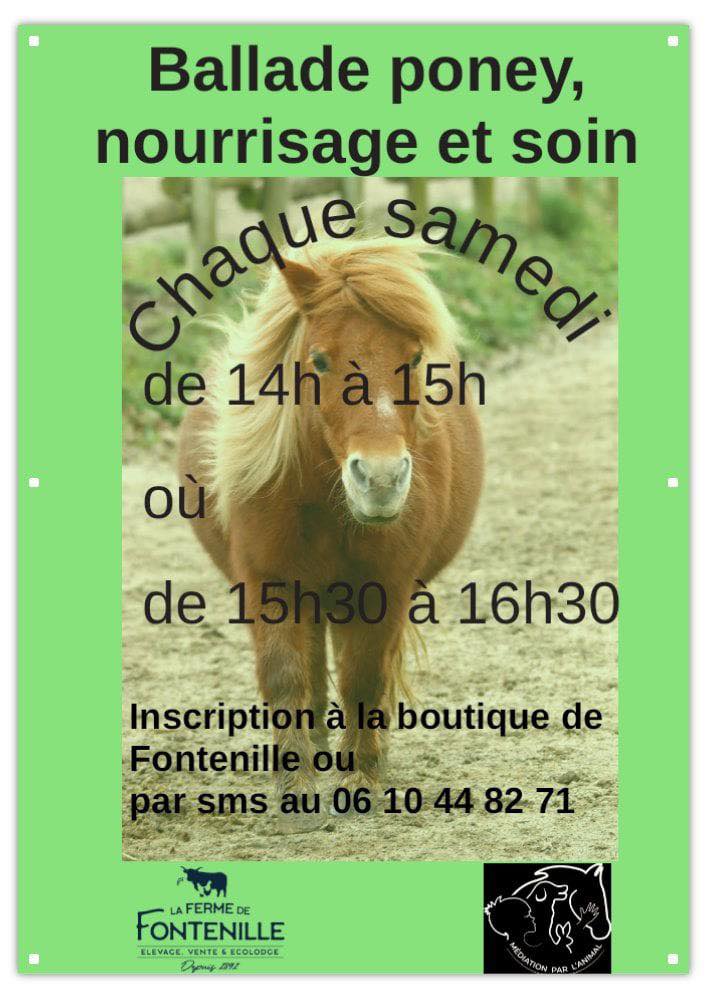Balade poney, nourrissage et soin