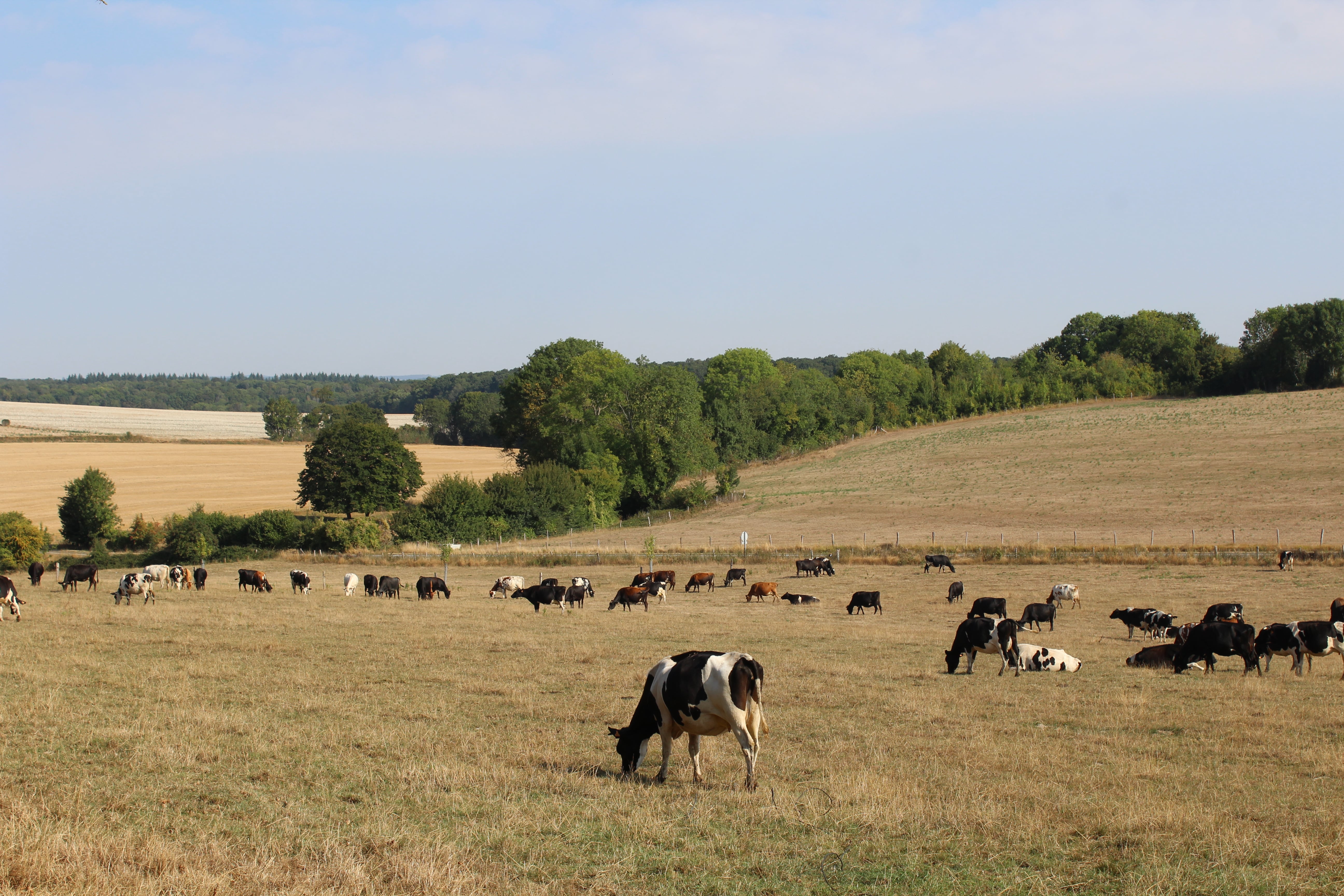 Aire de camping-cars de Pierrefitte en Beauvaisis, Pierrefitte-en-Beauvaisis - photo 3
