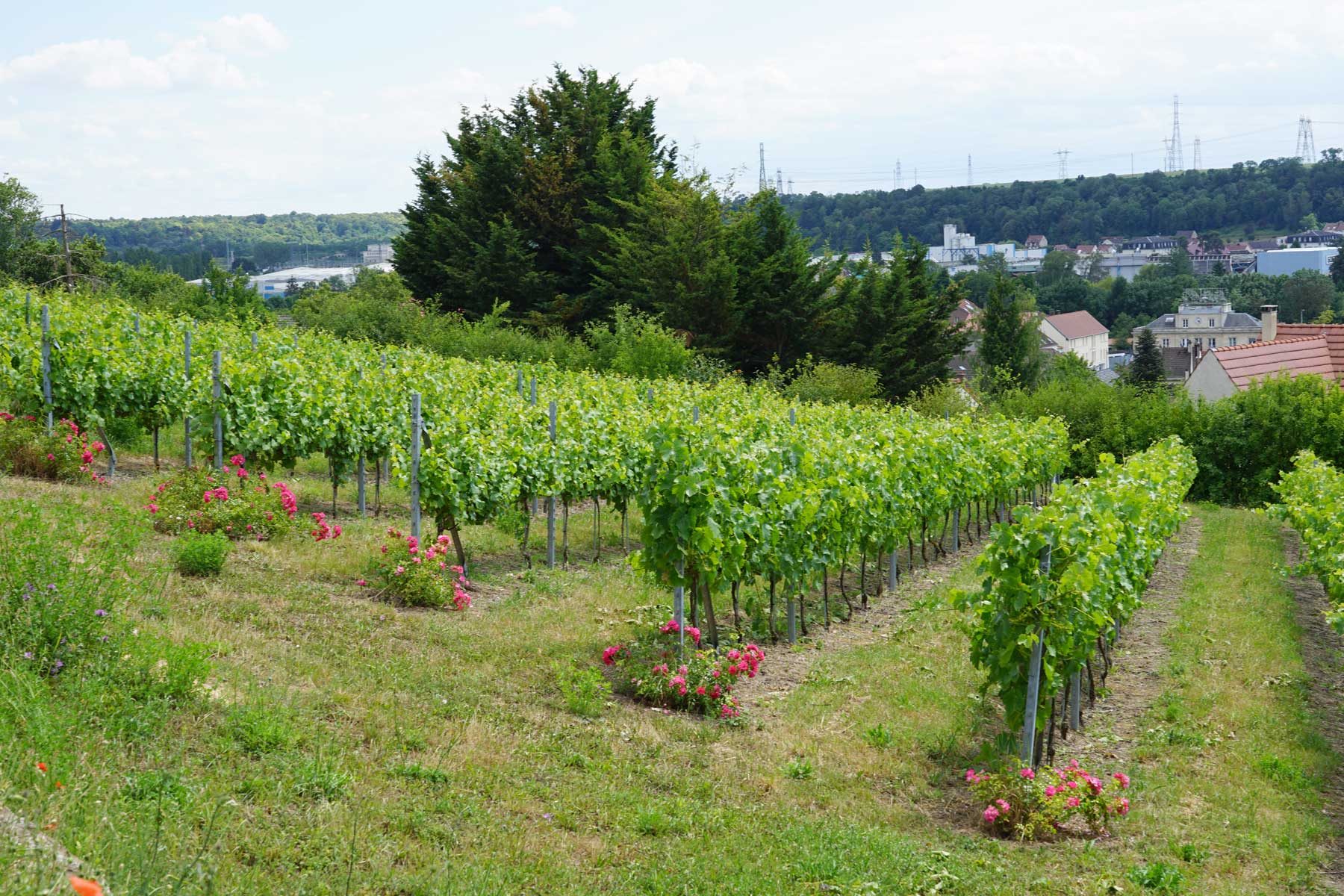 Bois Godart, Montataire - photo 2