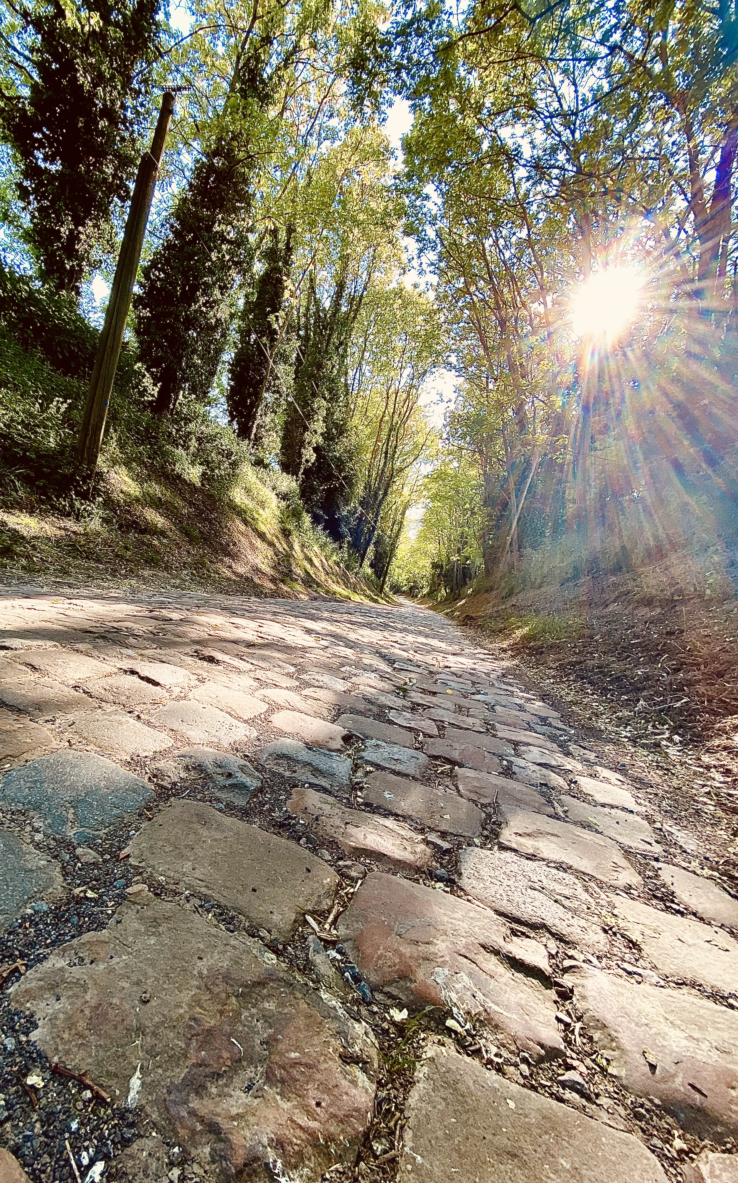 Dans la roue des champions(nes)!