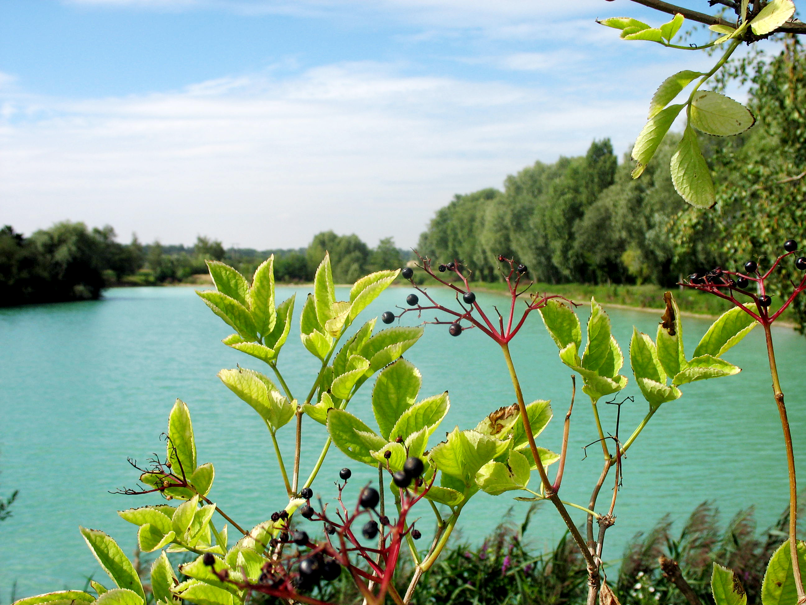Etang Sainte-Barbe, Saint-Maximin - photo 2