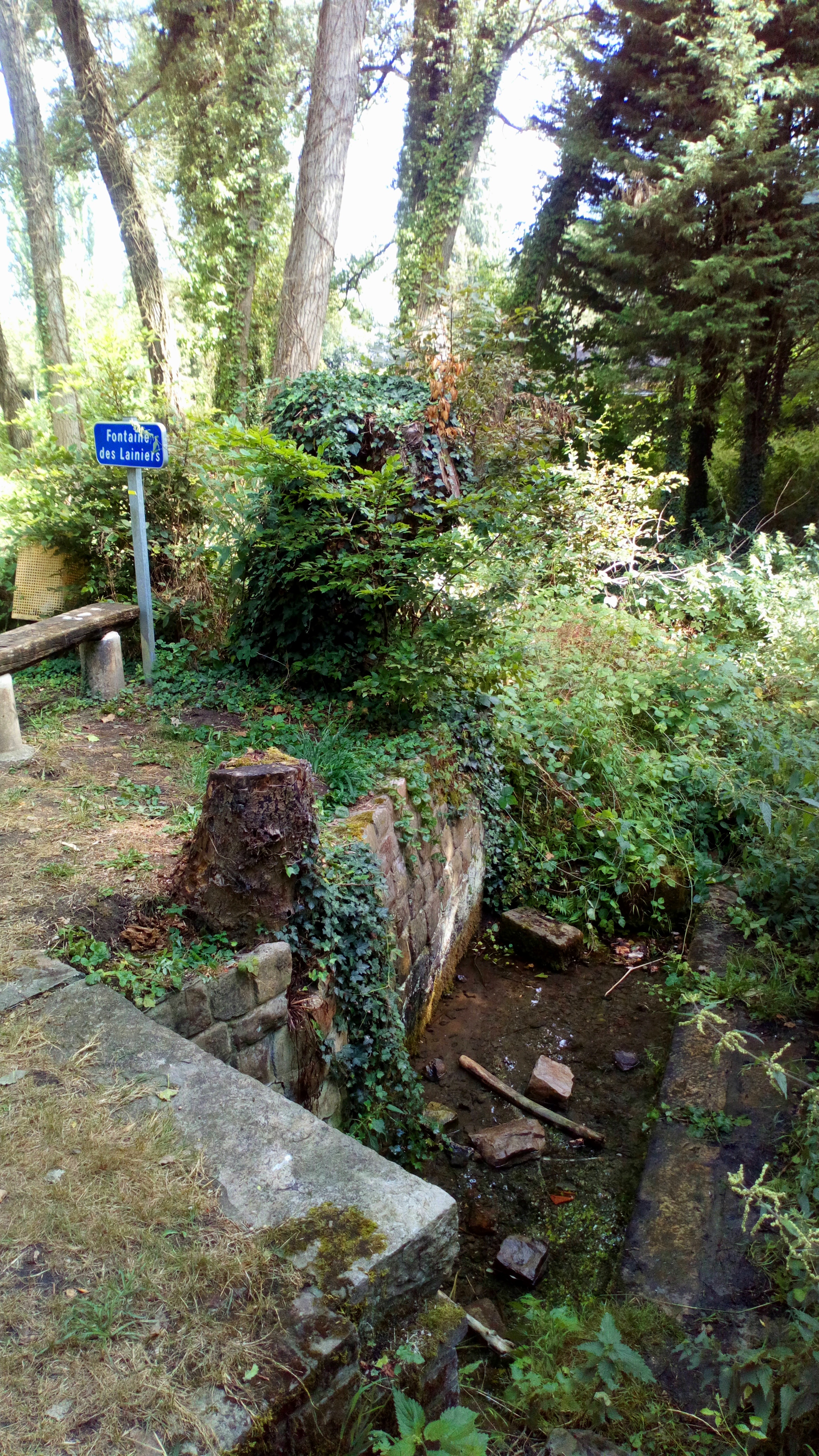 La balade du Menhir, Verchain-Maugré - photo 9