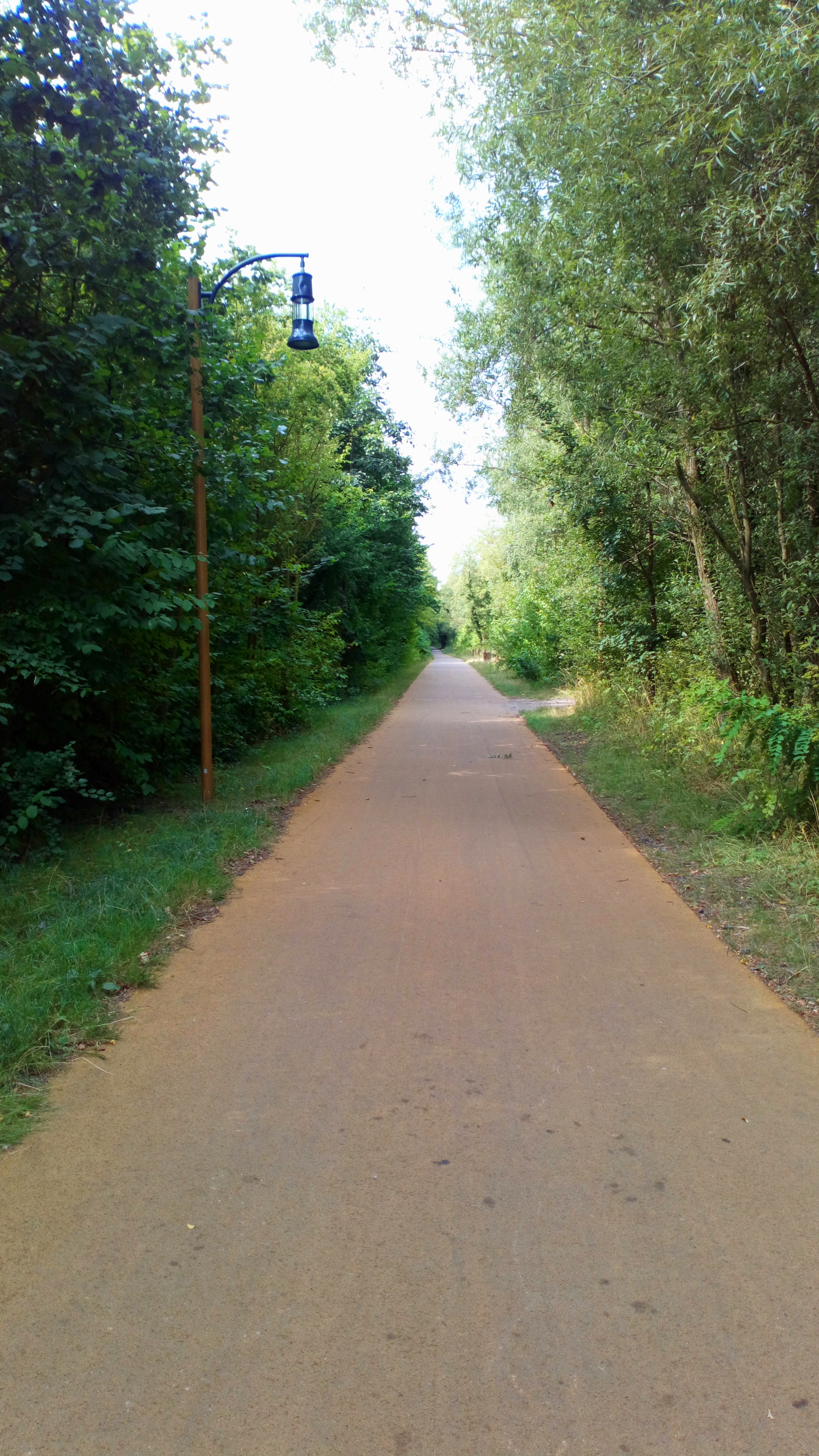 Cavalier Somain peruwelz, Fresnes-sur-Escaut - photo 3