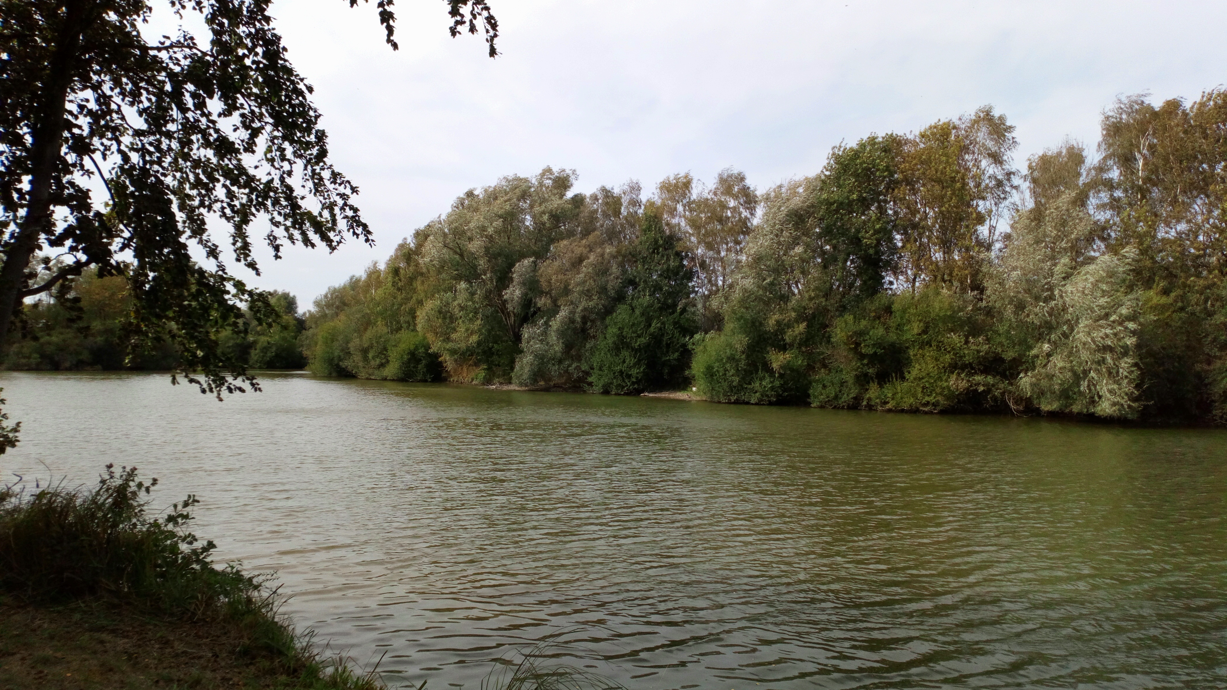 Circuit Batiss à z'osons