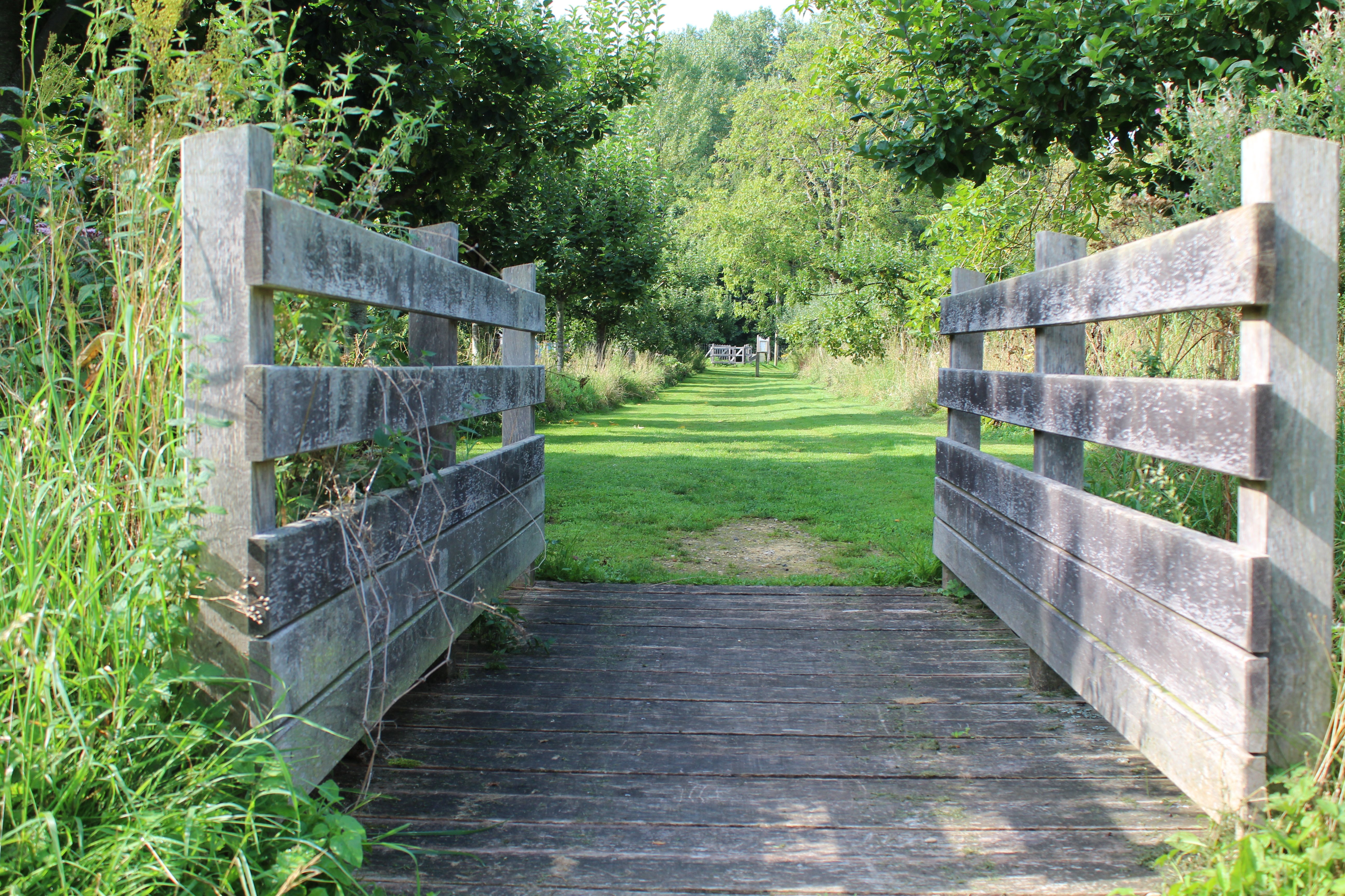 La Cavée du Gué, Plailly