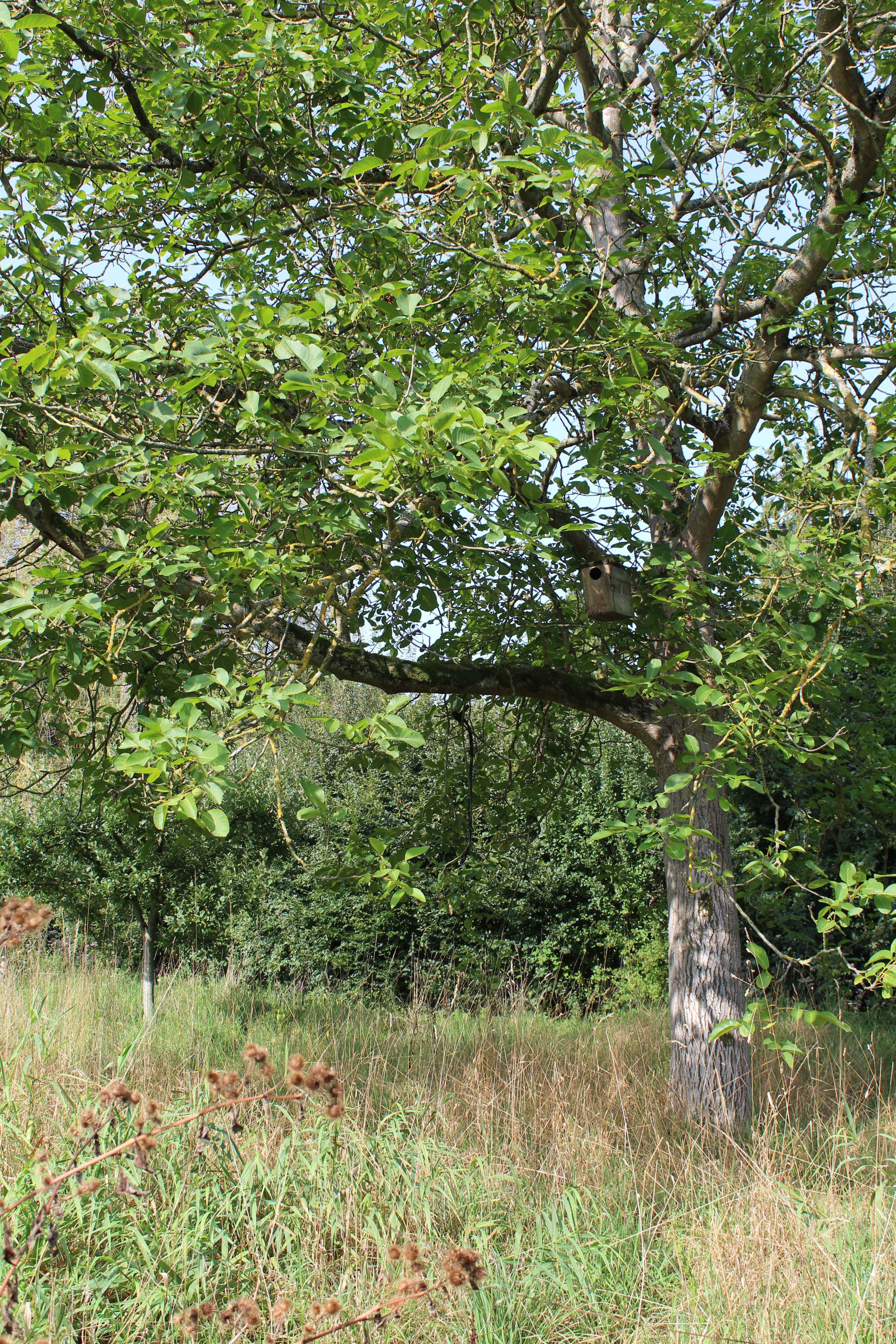 La Cavée du Gué, Plailly - photo 7