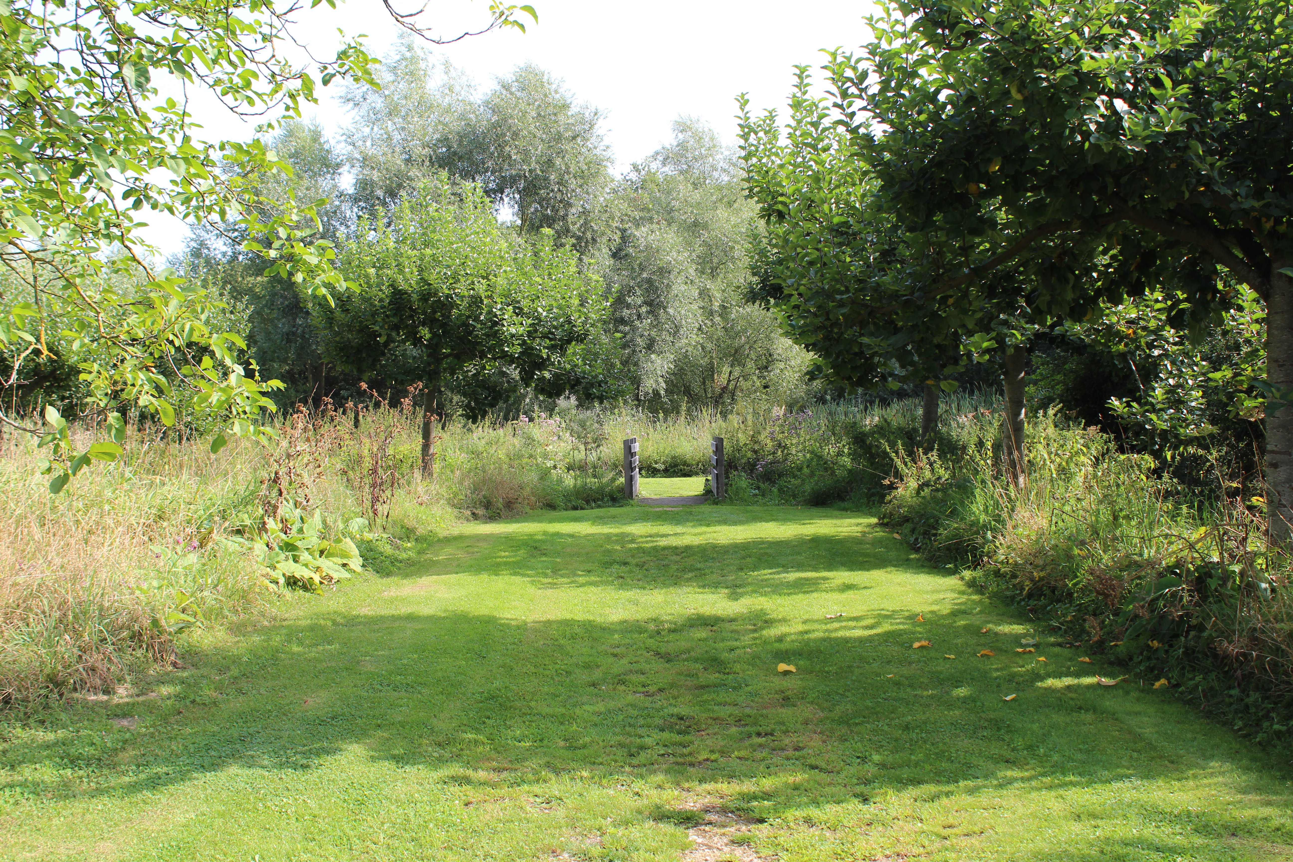 La Cavée du Gué, Plailly - photo 5