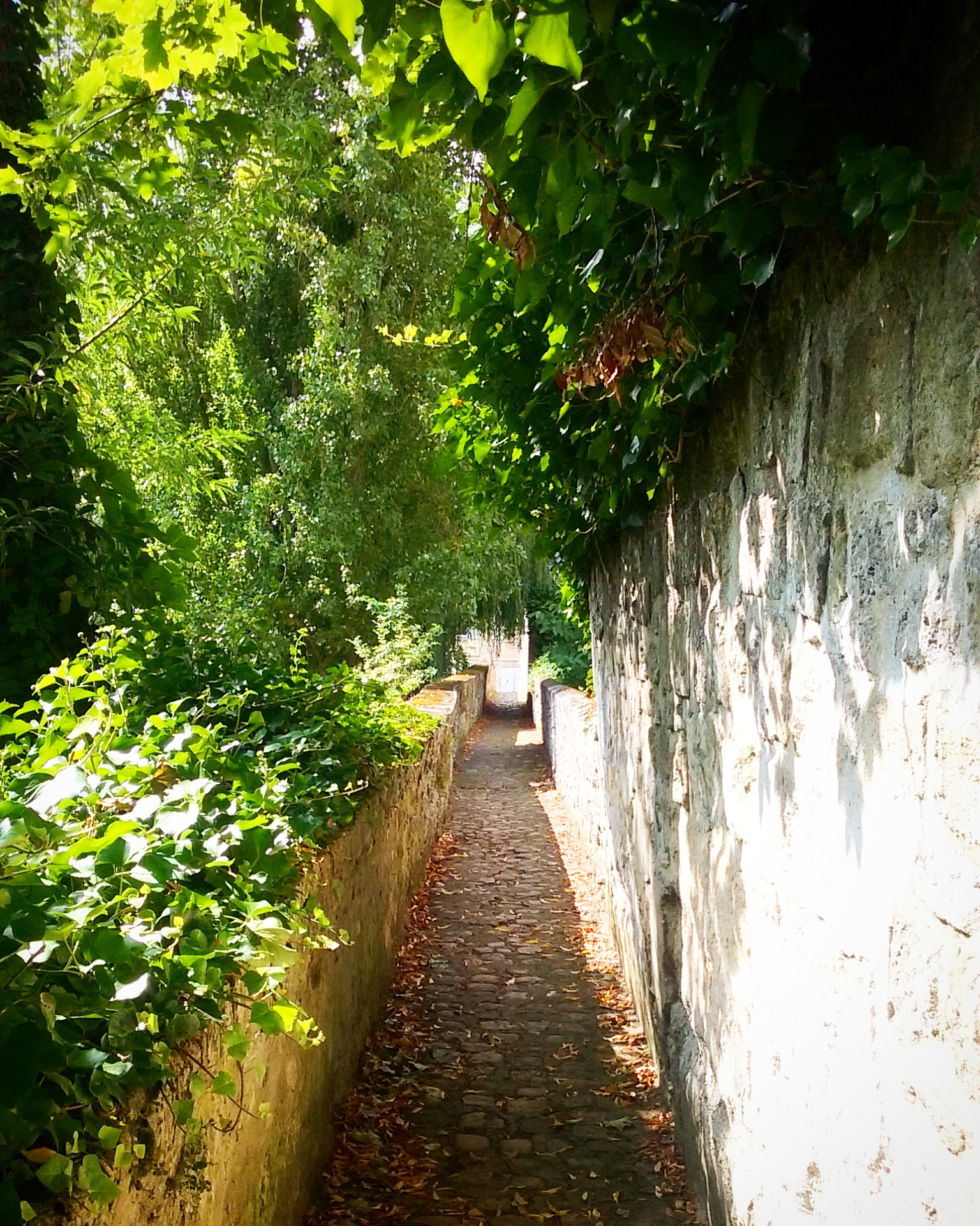 Fortifications médiévales, Senlis
