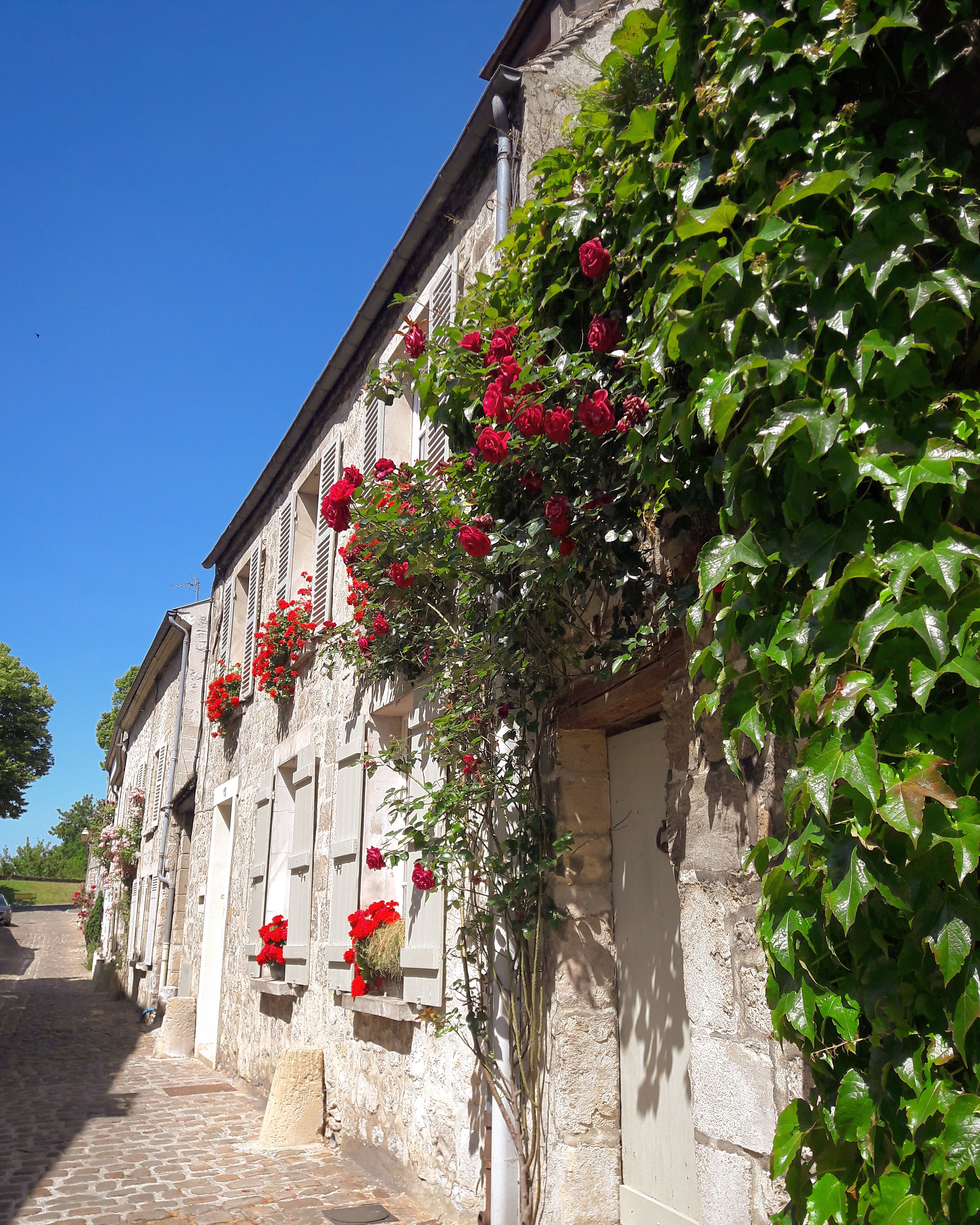 Ruelles médiévales, Senlis - photo 2