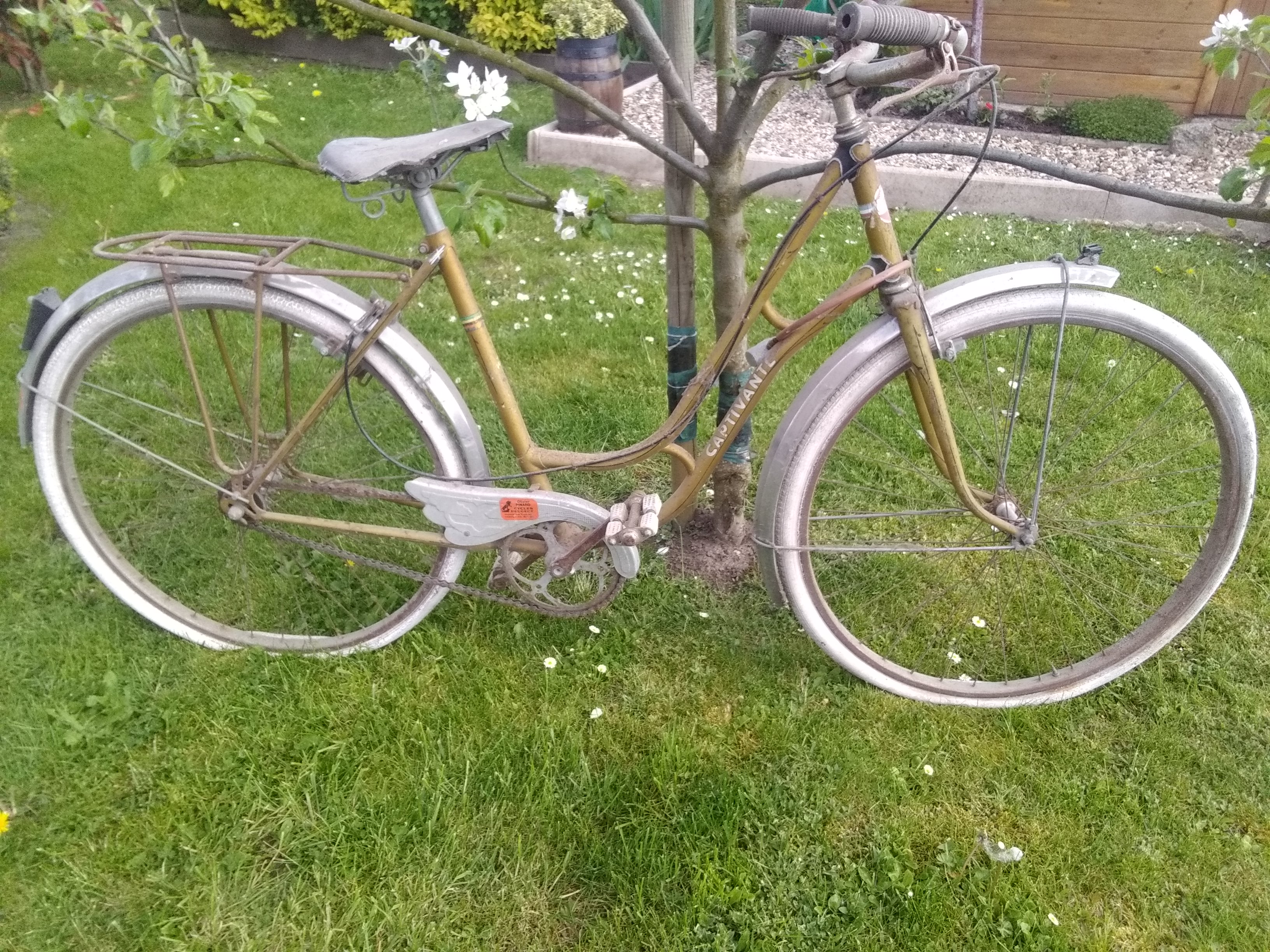 Cycles & Multi Services CMS