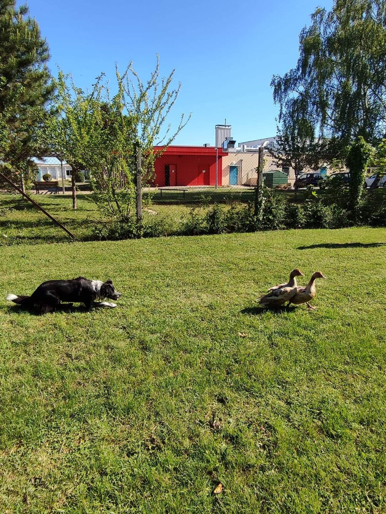 Ferme de Natur'a, Milly-sur-Thérain