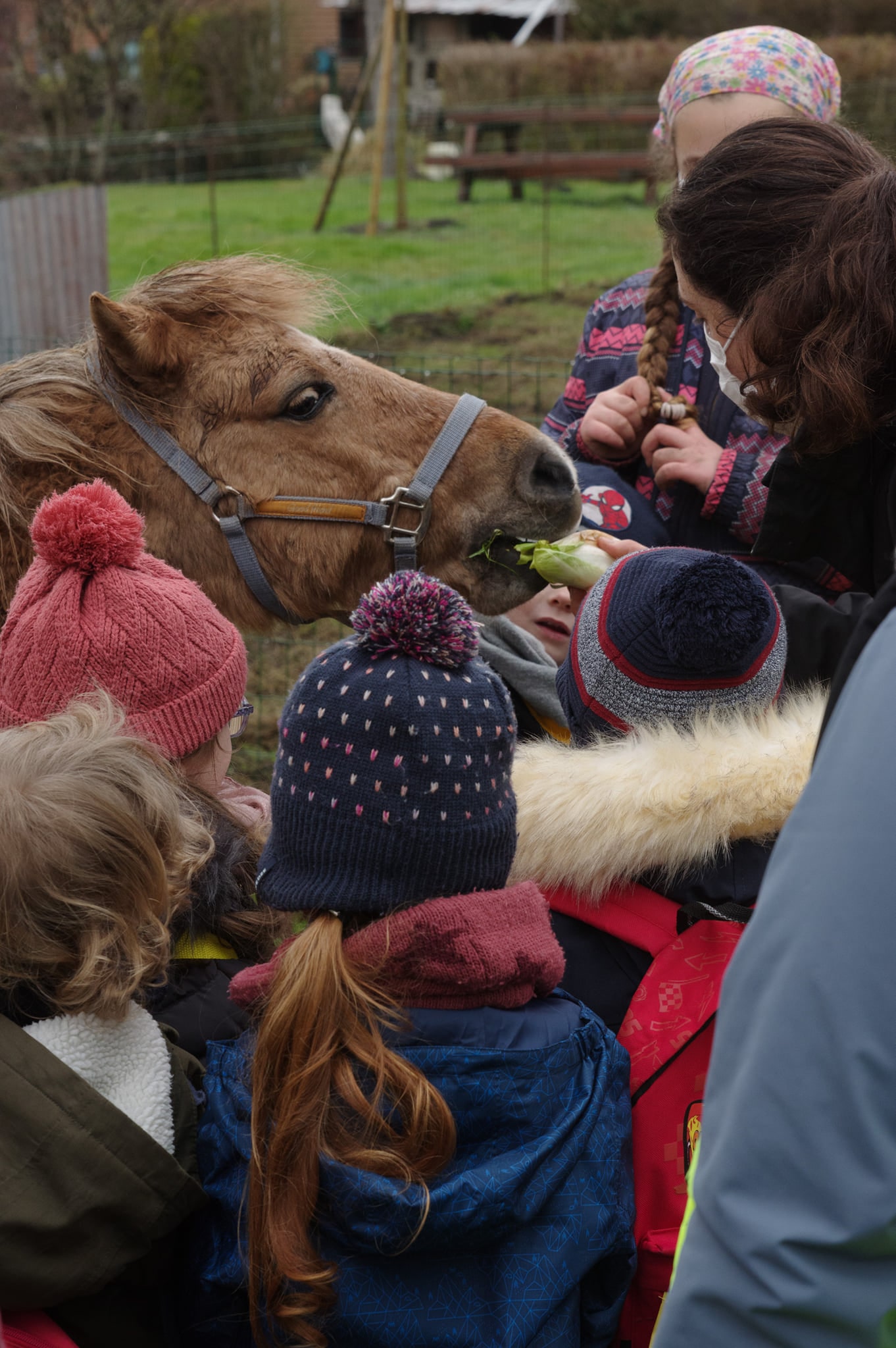 Ferme de Natur'a, Milly-sur-Thérain - photo 3