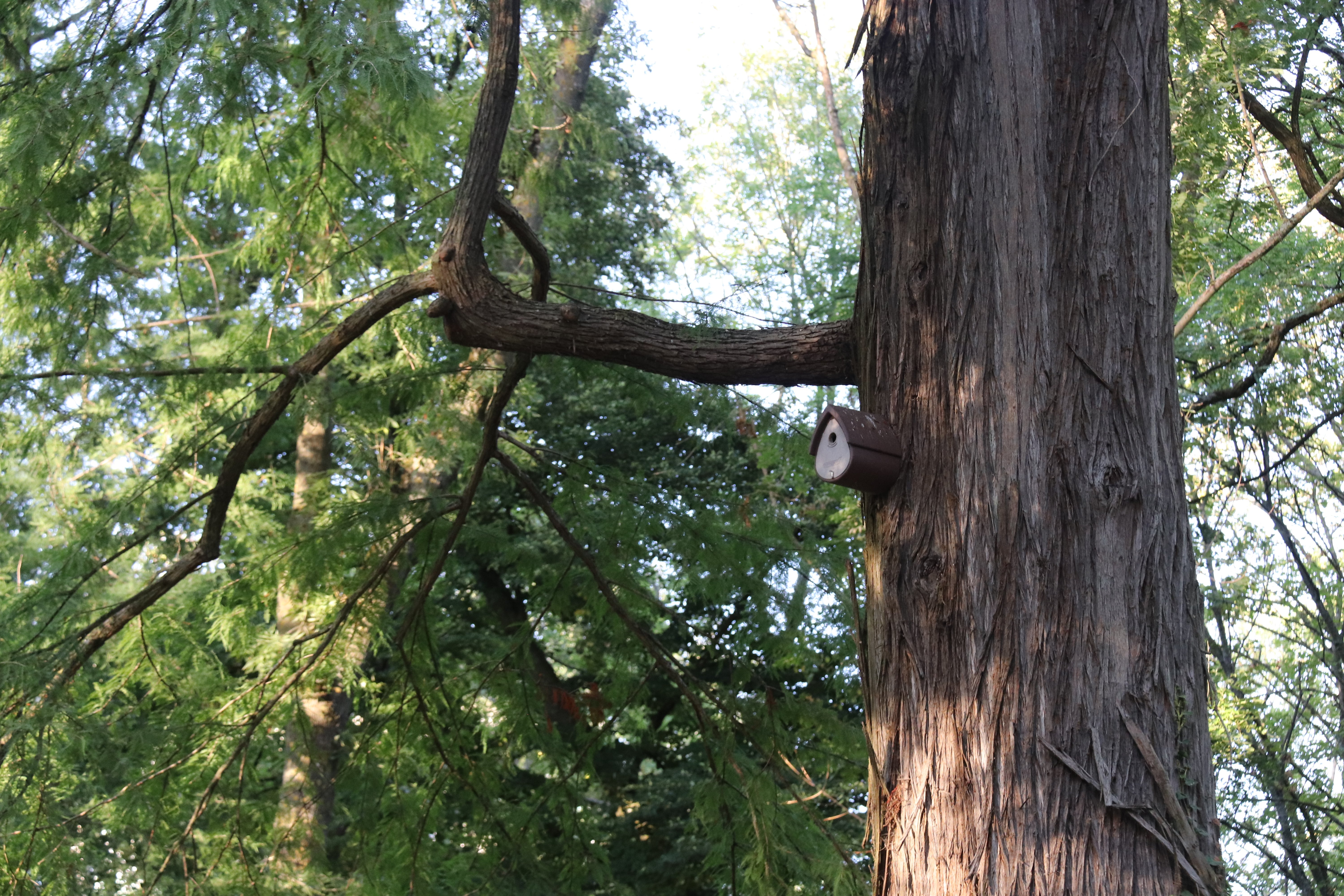 Parc Hébert, Nogent-sur-Oise - photo 8