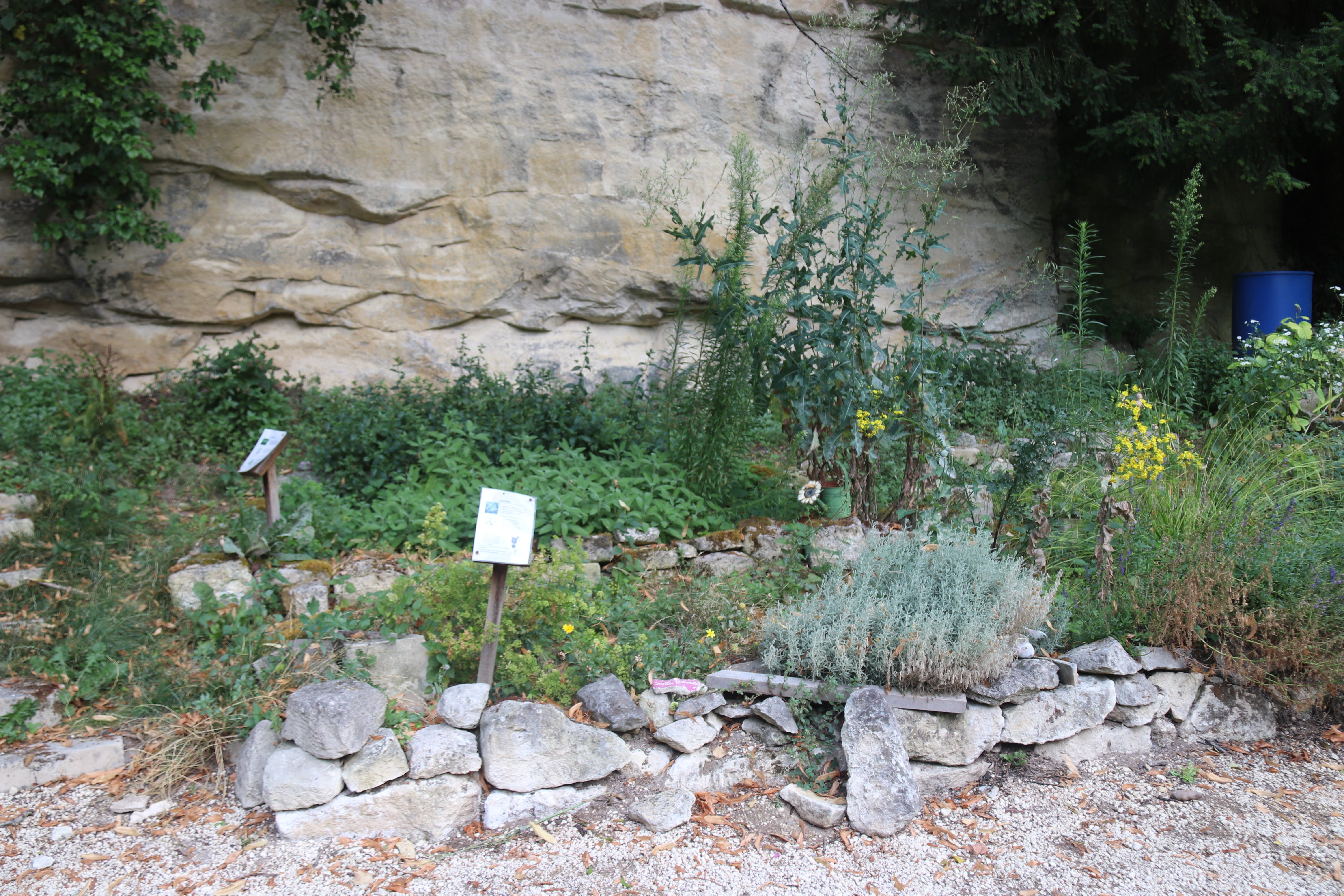 Le jardin pédagogique de la Tranchée, Saint-Maximin - photo 4