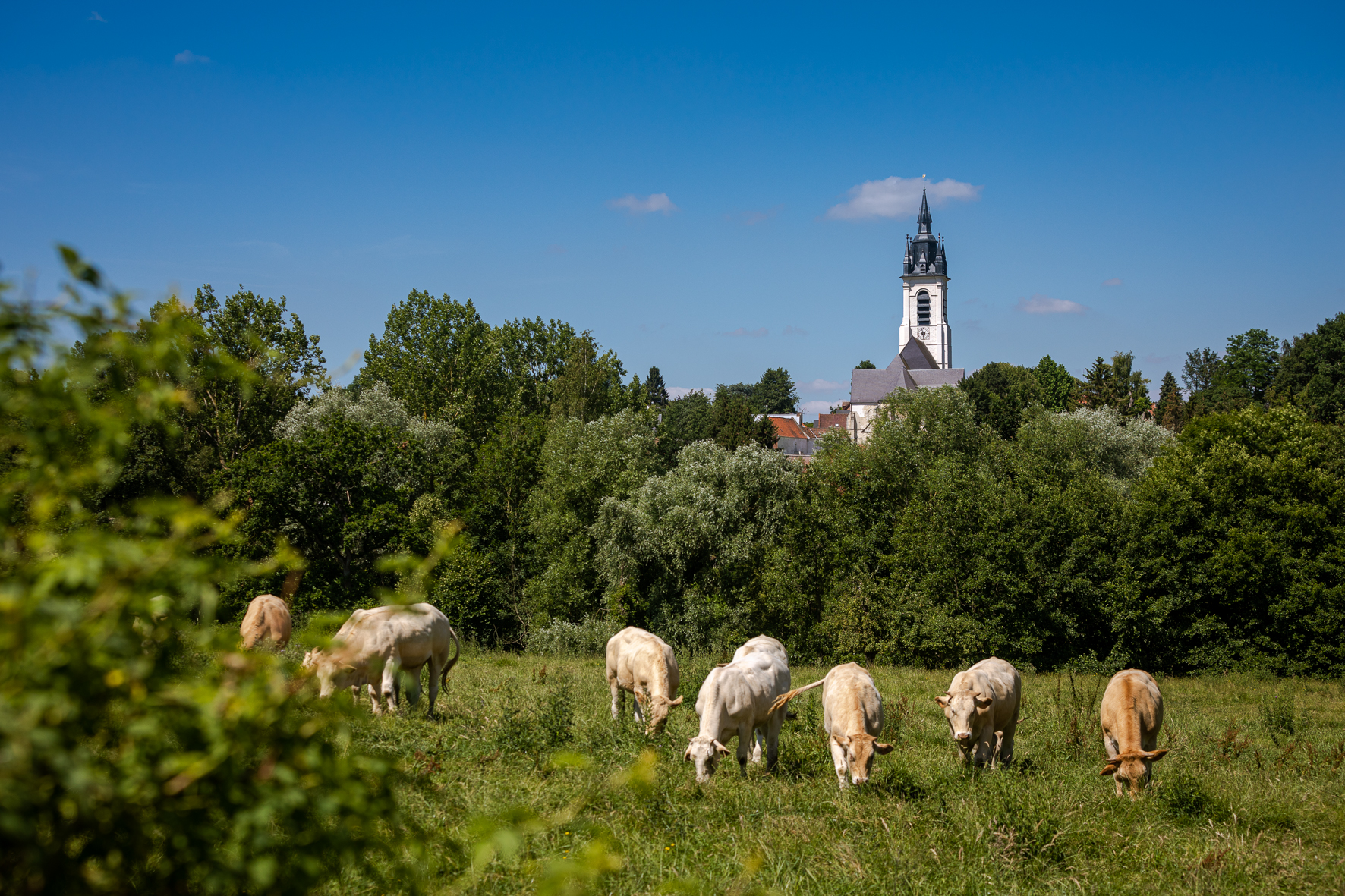 Les Hauts de Sebourg