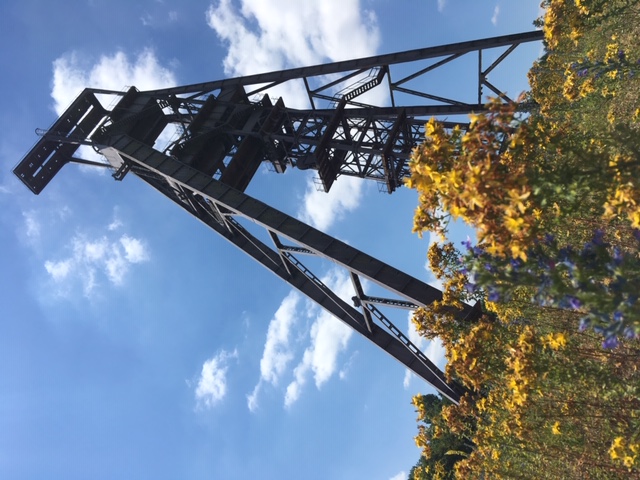 Boucle un'Escaut, Valenciennes - photo 4