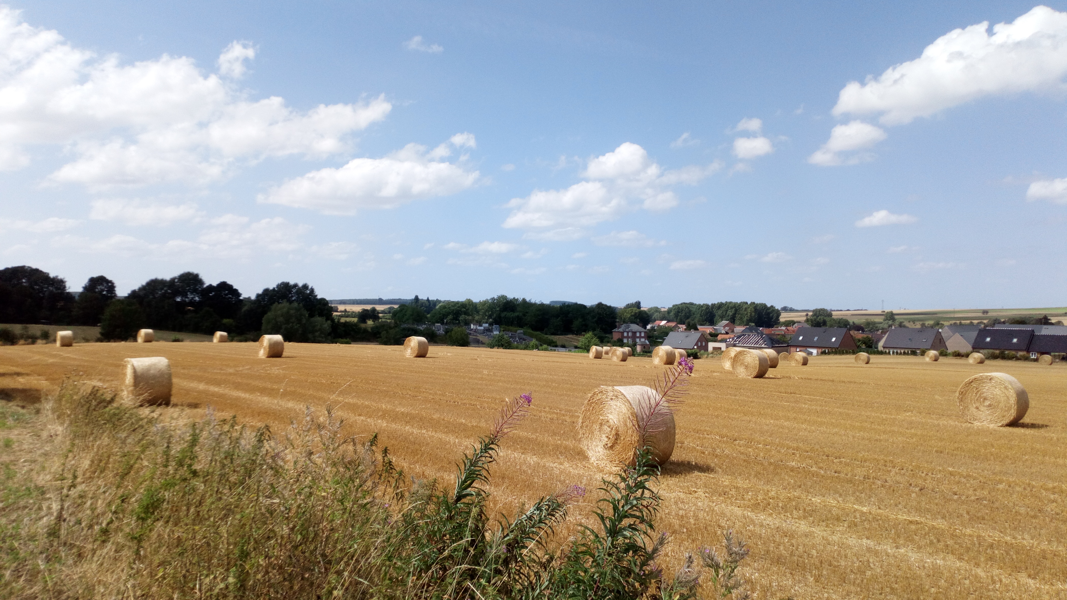 La balade du Menhir, Verchain-Maugré - photo 6