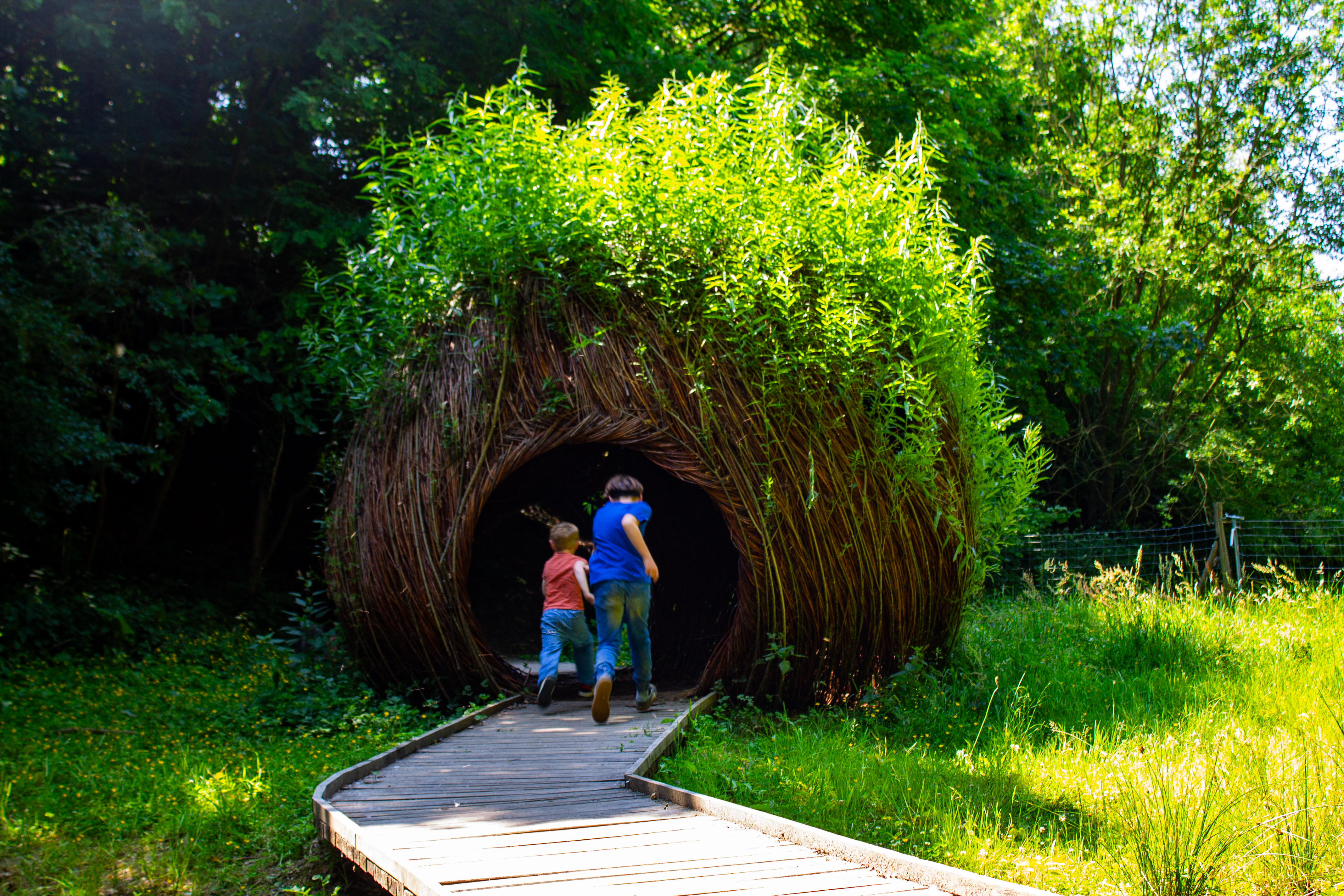 Aire ludique L'Observatoire caché