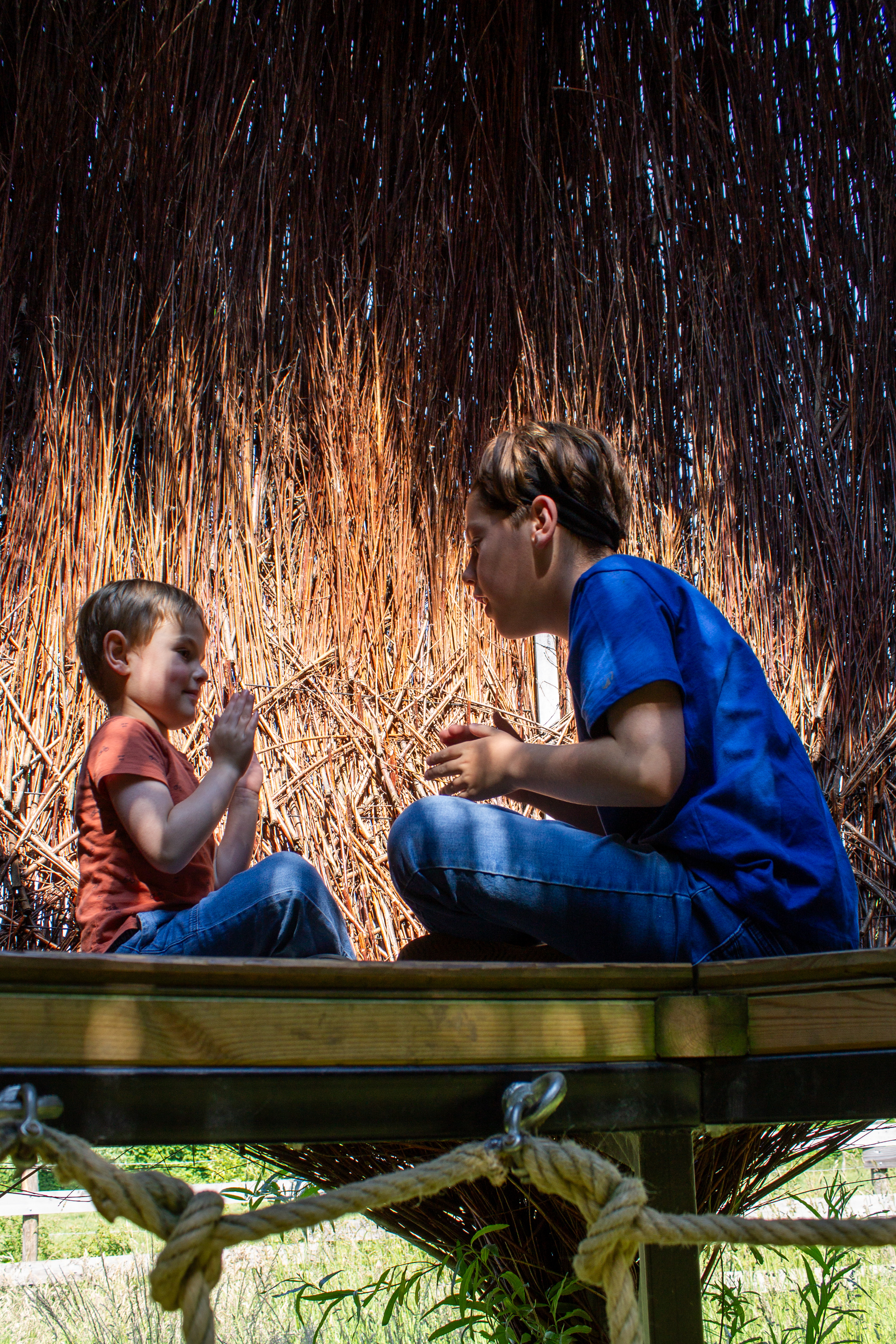 Aire ludique La fleur échappée