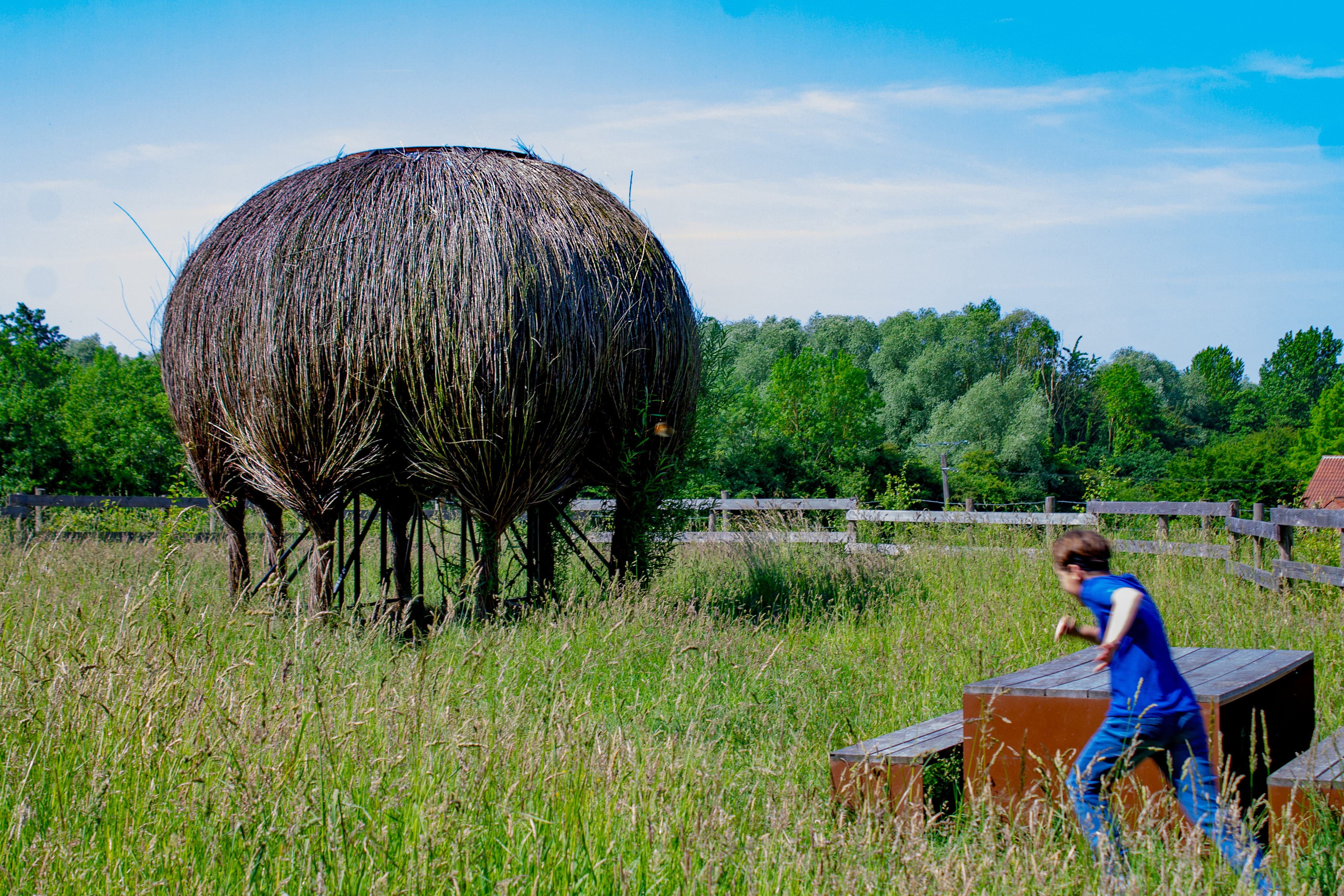 Aire ludique La fleur échappée, Bailleul - photo 2