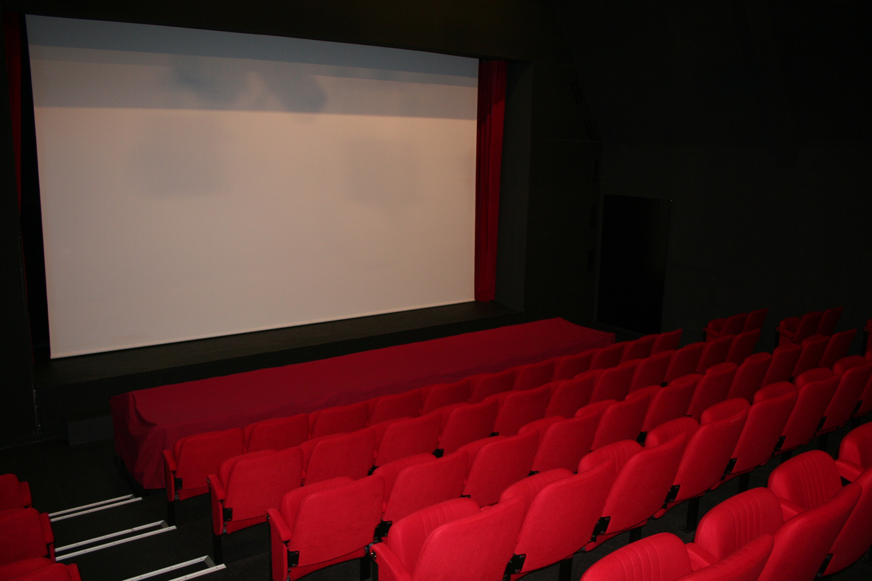 CinéMal à Laon : " L’hiver de Léon, et autres histoires enneigées"