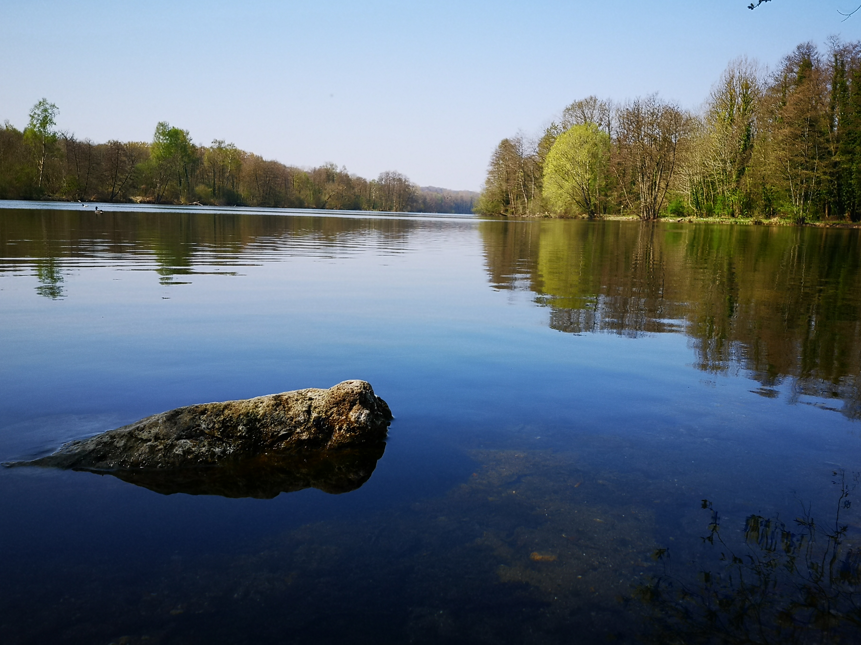 A l'orée du bois Saint-Michel, Maysel - photo 2