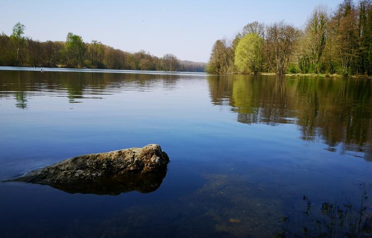 Etang du Marais Chantraine