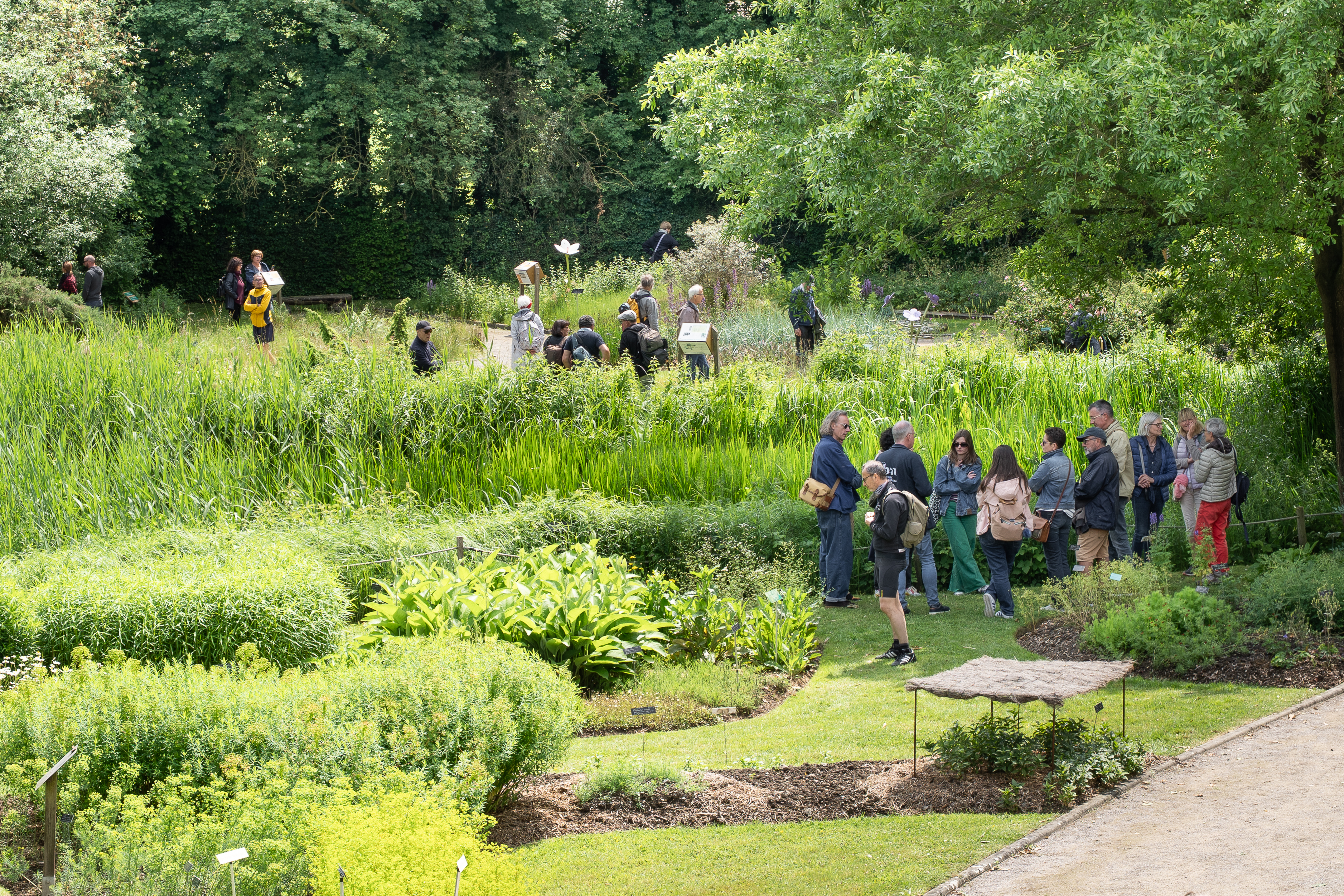 Conservatoire botanique national des Hauts-de-France