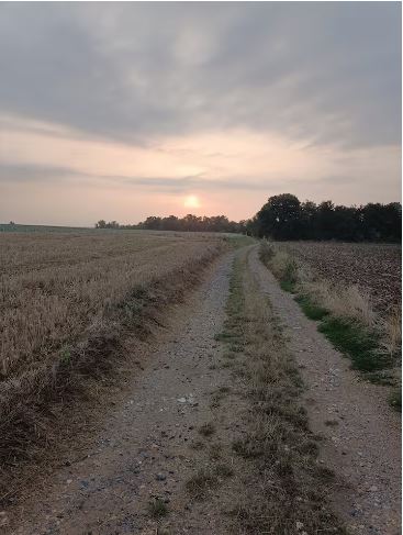 1-Vue panoramique