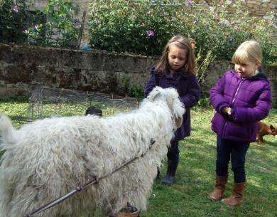 enfants avec animaux du parc