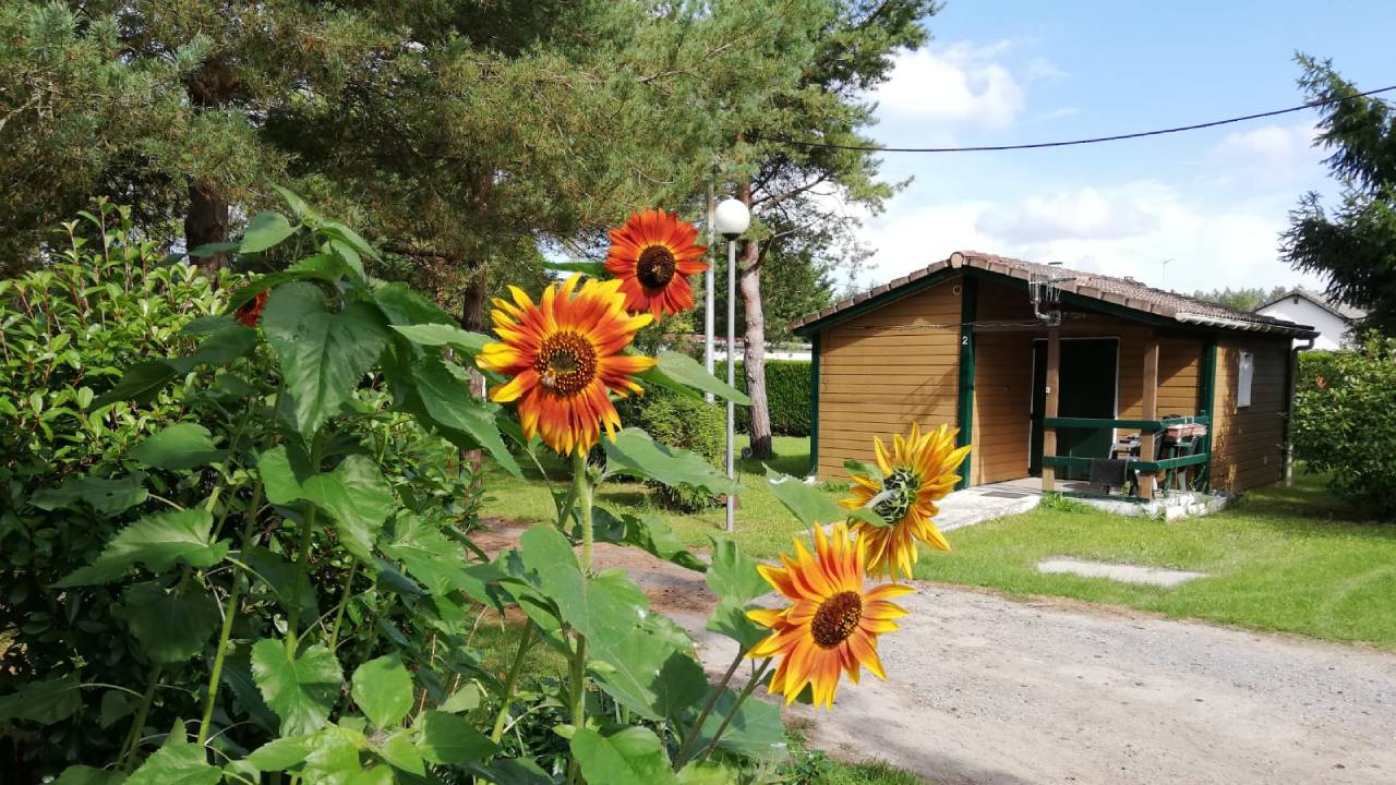 Au soleil de Picardie - Vailly sur-Aisne