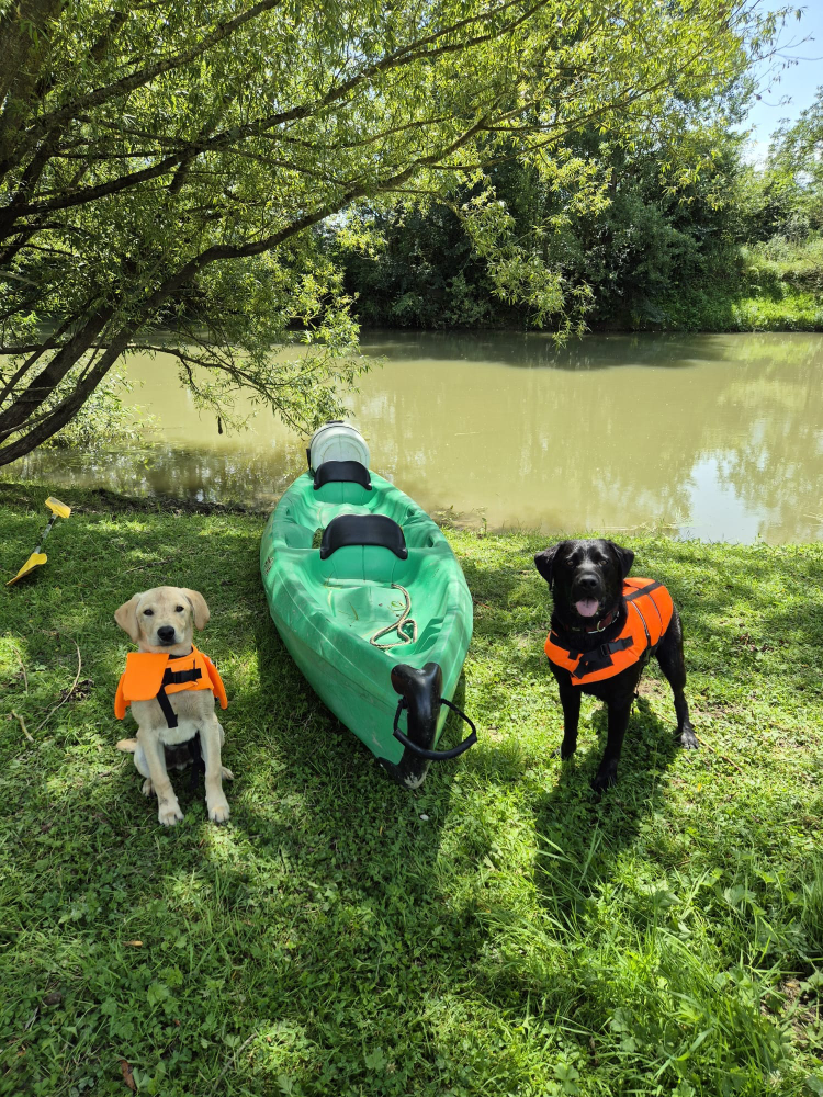 Canoé sur l'Aisne - Vailly - Au Soleil de Picardie