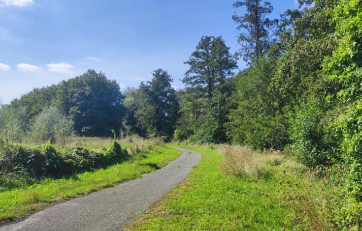 LA VALLÉE DES MIROIRS