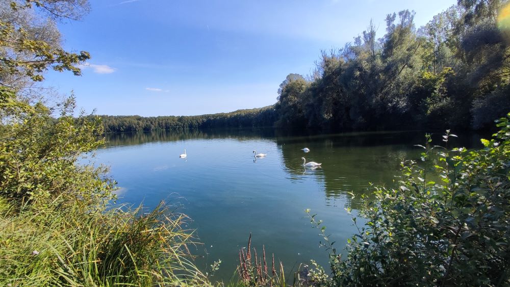 La vallée des miroirs