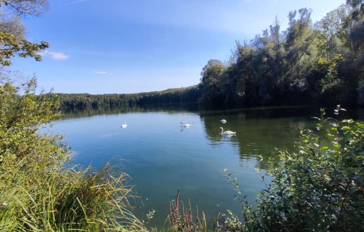LA VALLÉE DES MIROIRS