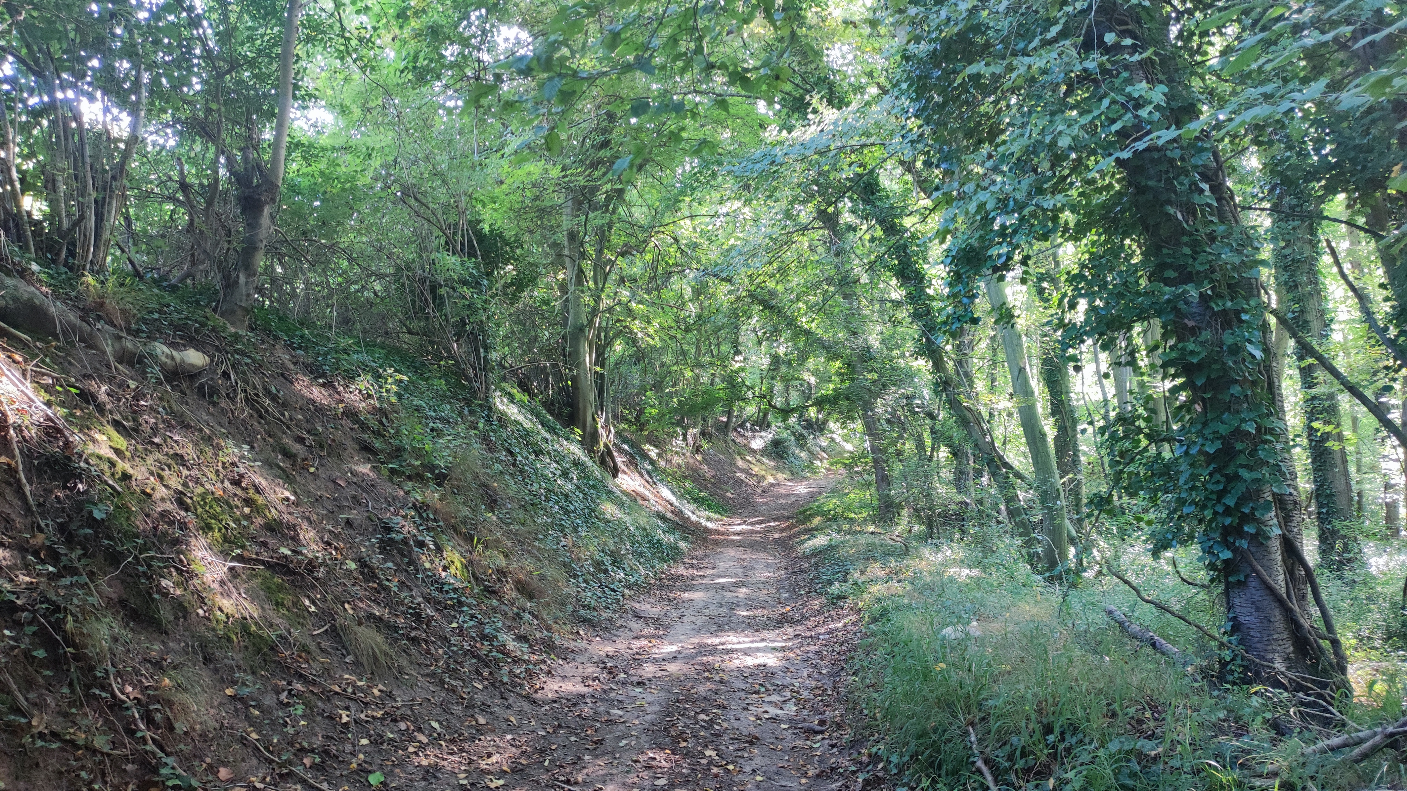 Villers et le Dolmen de la Pierre aux Fées, Villers-Saint-Sépulcre - photo 3