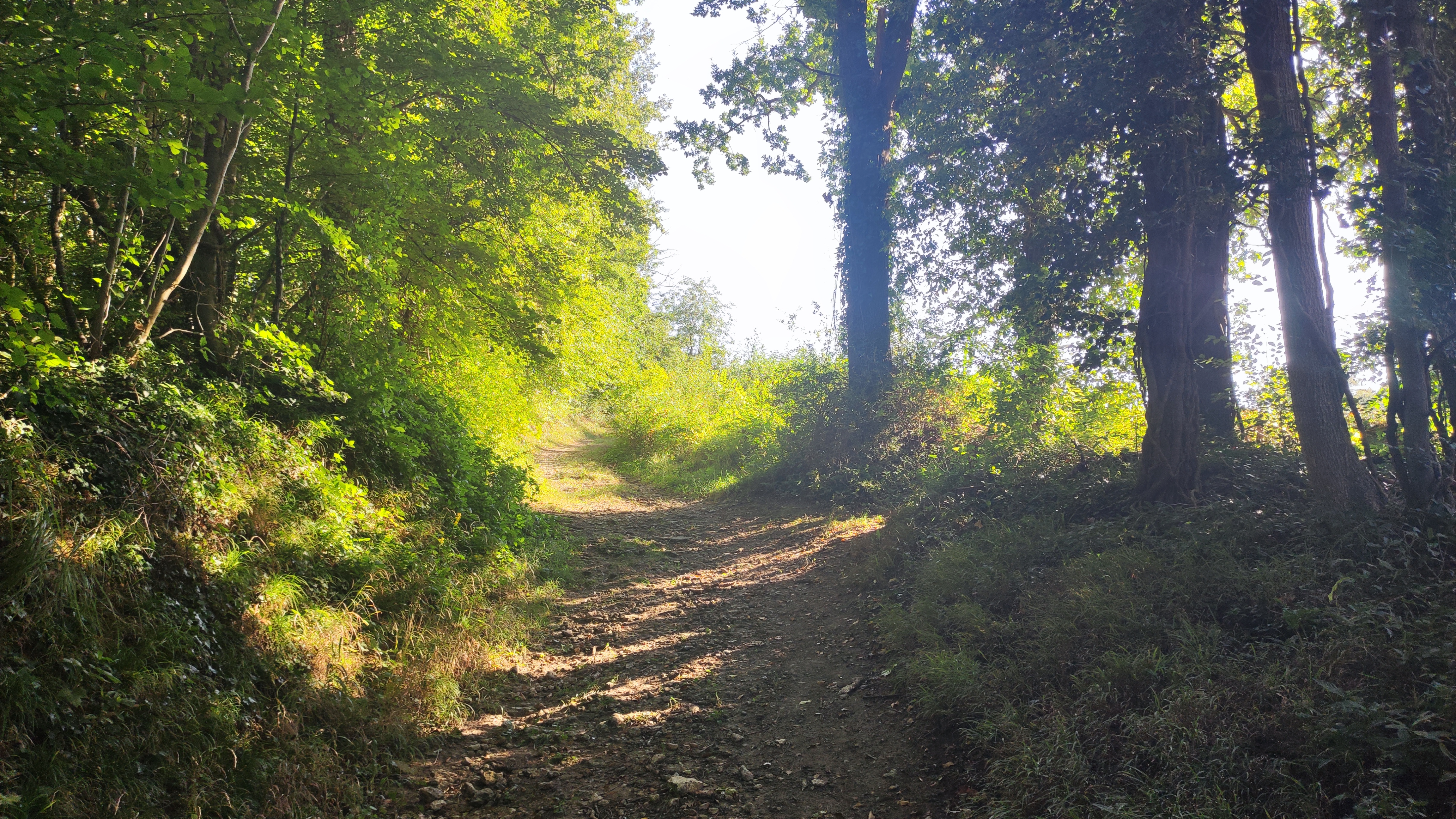 Villers et le Dolmen de la Pierre aux Fées, Villers-Saint-Sépulcre - photo 7
