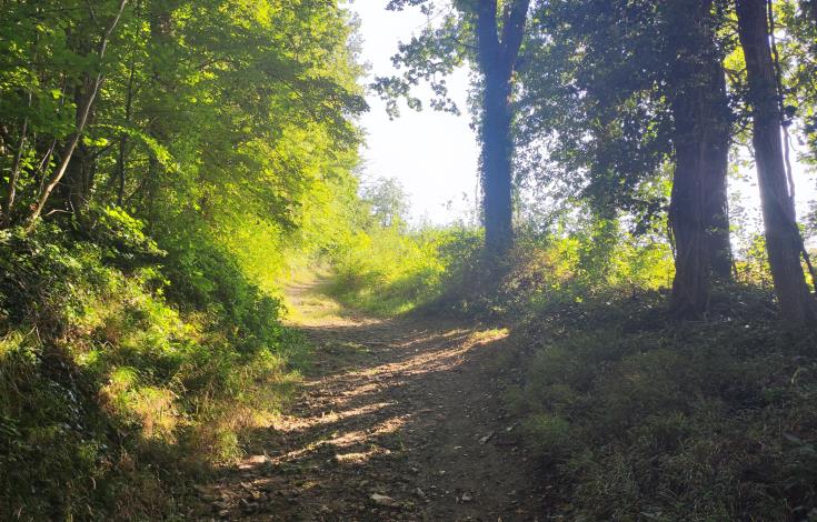 Villers et le Dolmen de la Pierre aux Fées