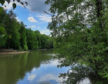 101. Remontez le temps en forêt de Hez 3