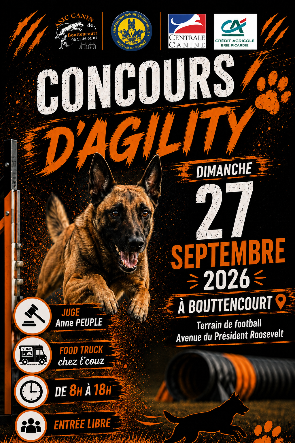 14445 - ©Concours Agility-2026 14445