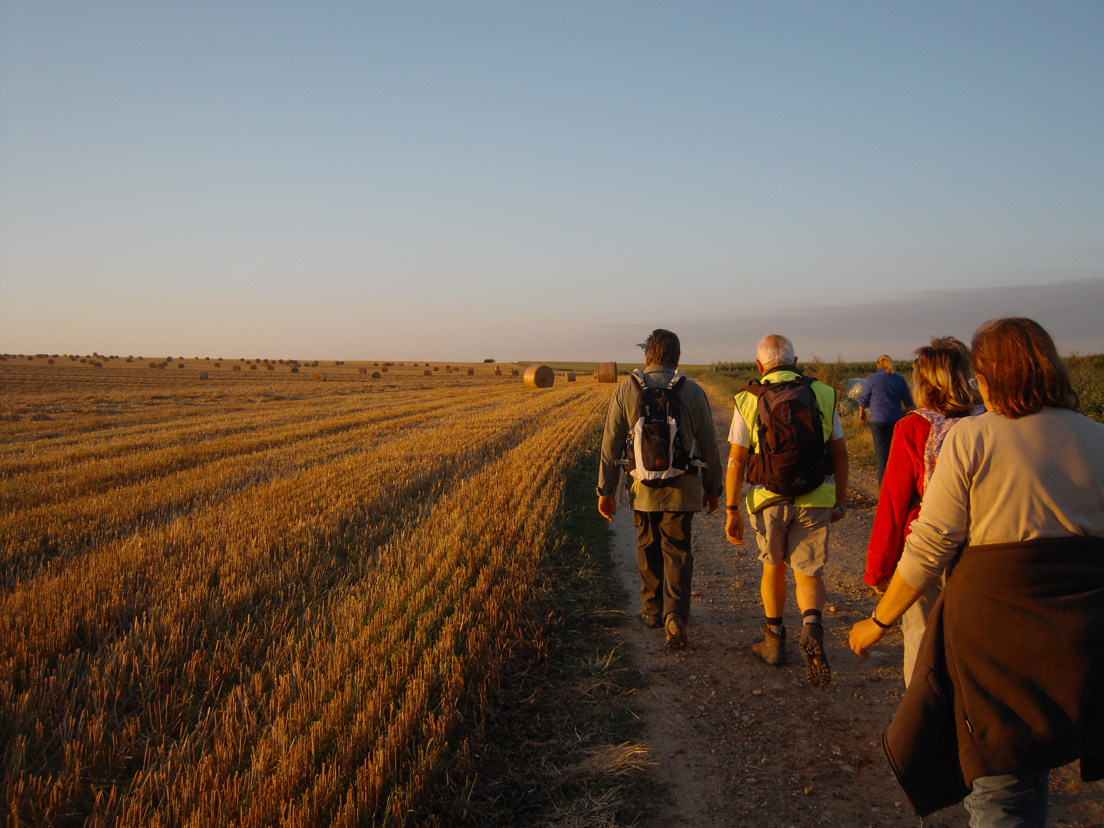 Entre champs et vallées, Thiverny - photo 4