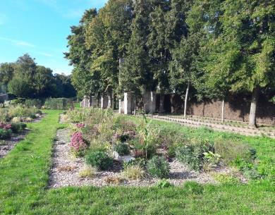 Senlis