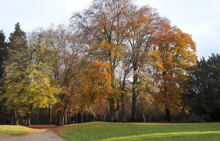 Parc Chaalis