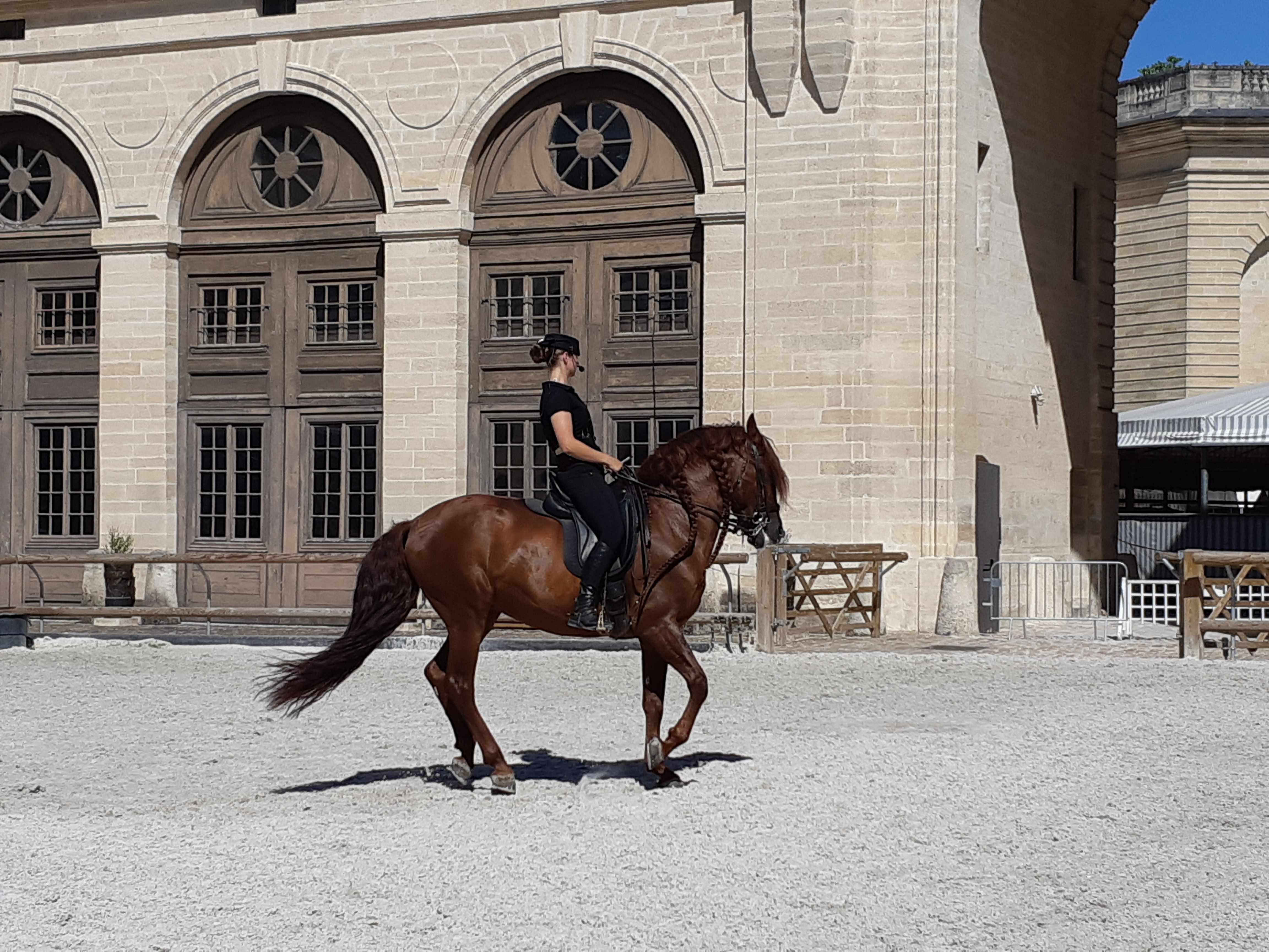 Musée vivant du Cheval - Grandes Écuries du Château de Chantilly