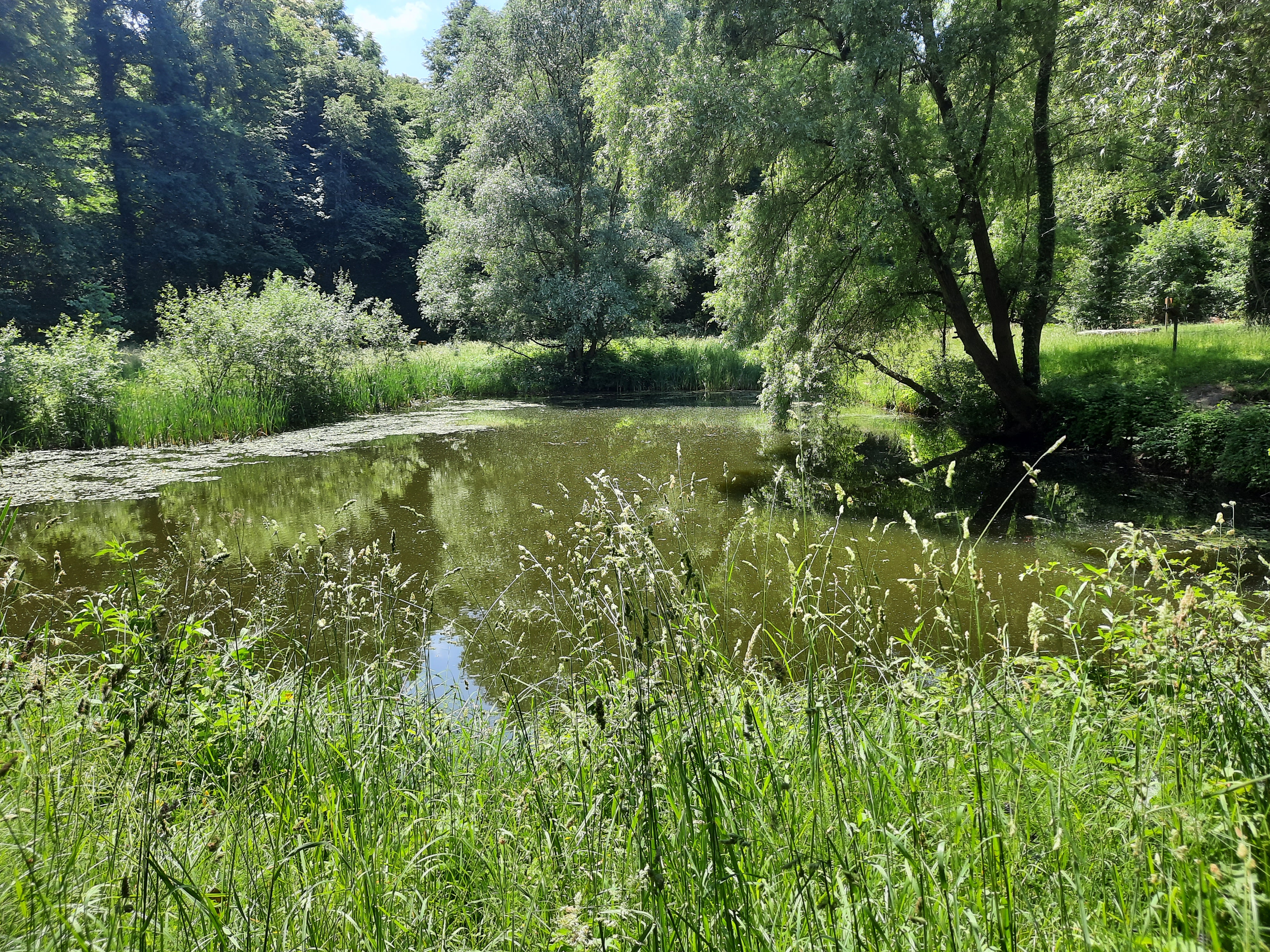 Le sentier de la biodiversité